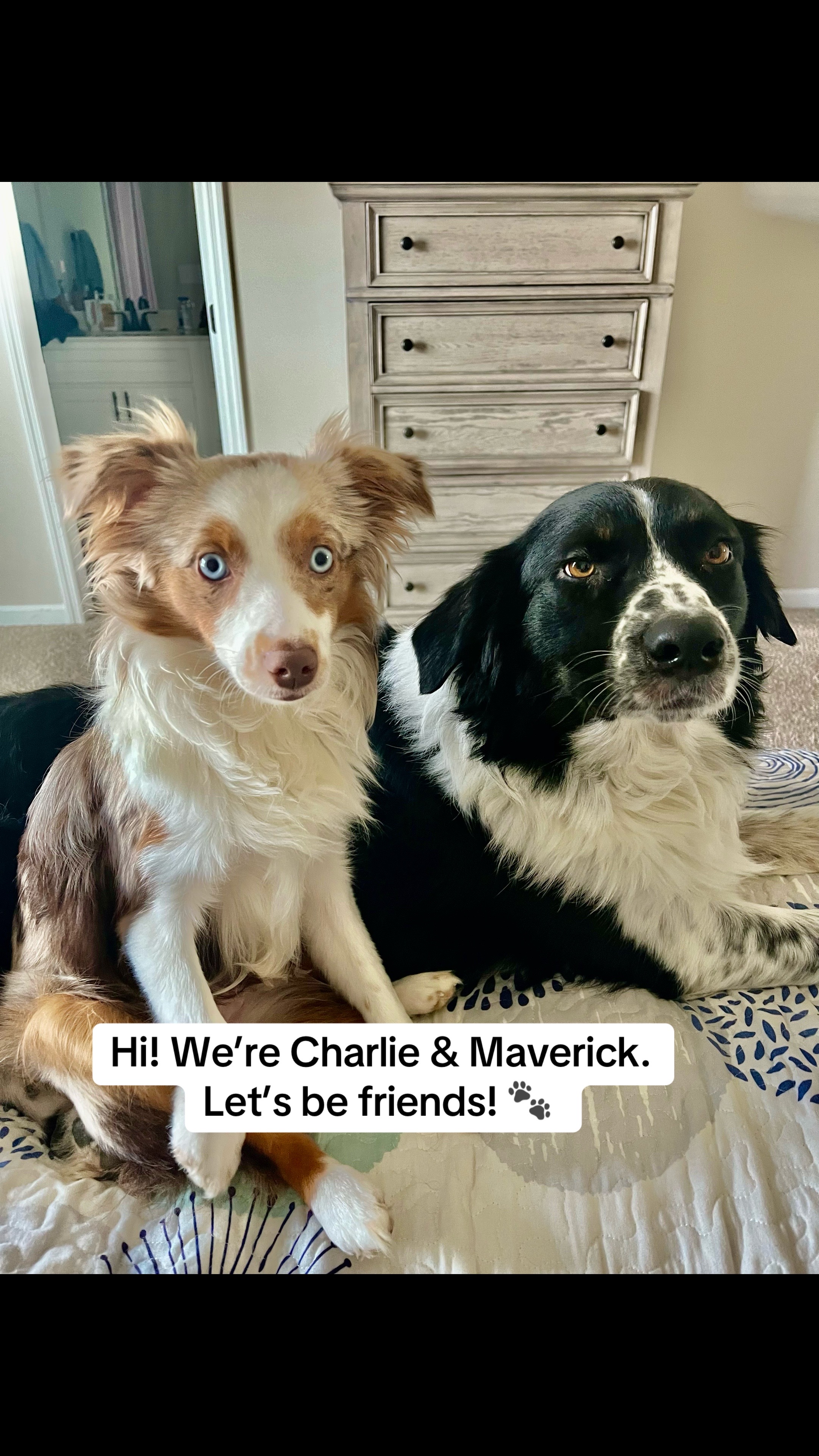 @Big Mav & Little Char