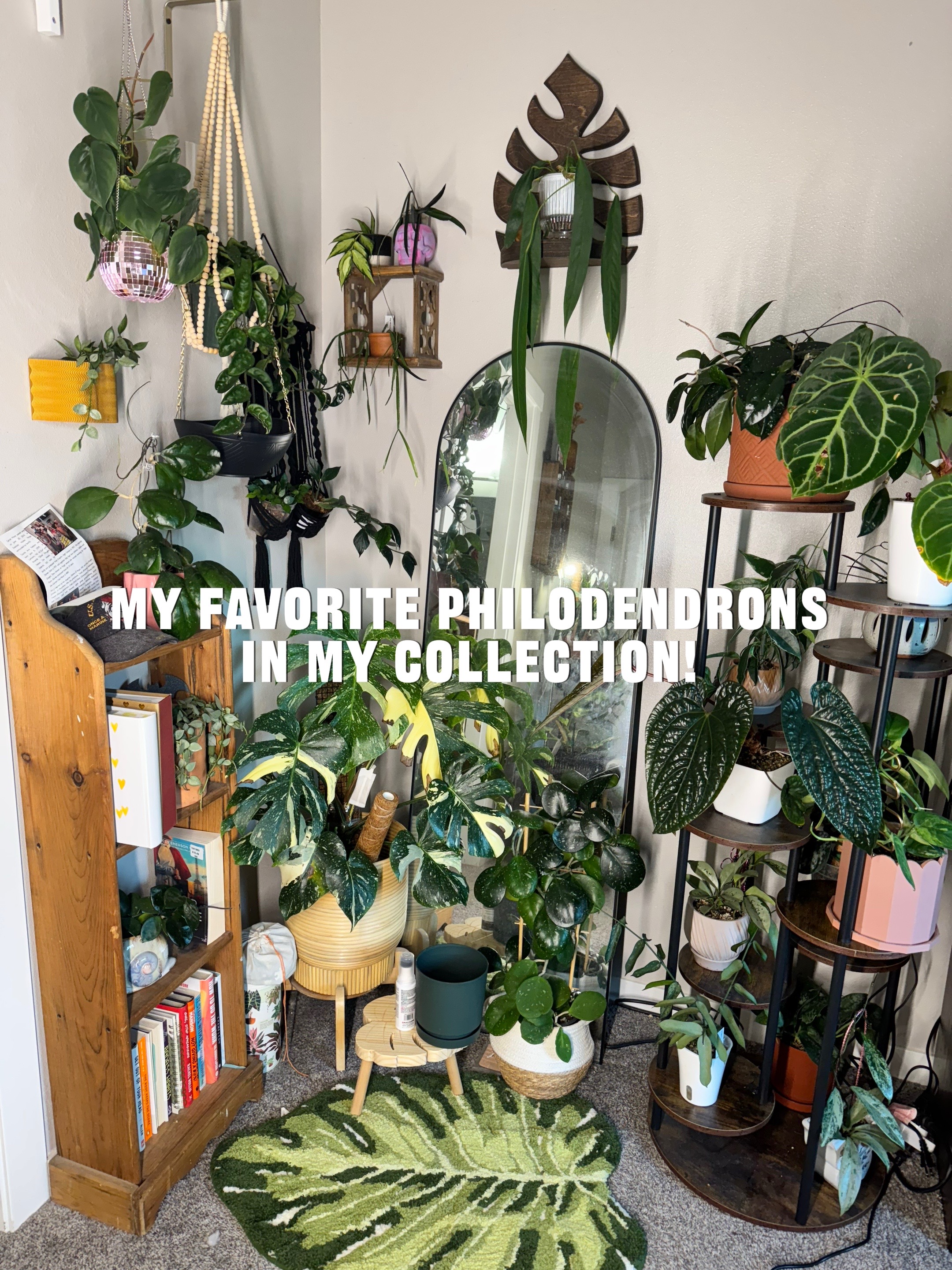 @Ness Rose | Plant Fanatic ✨