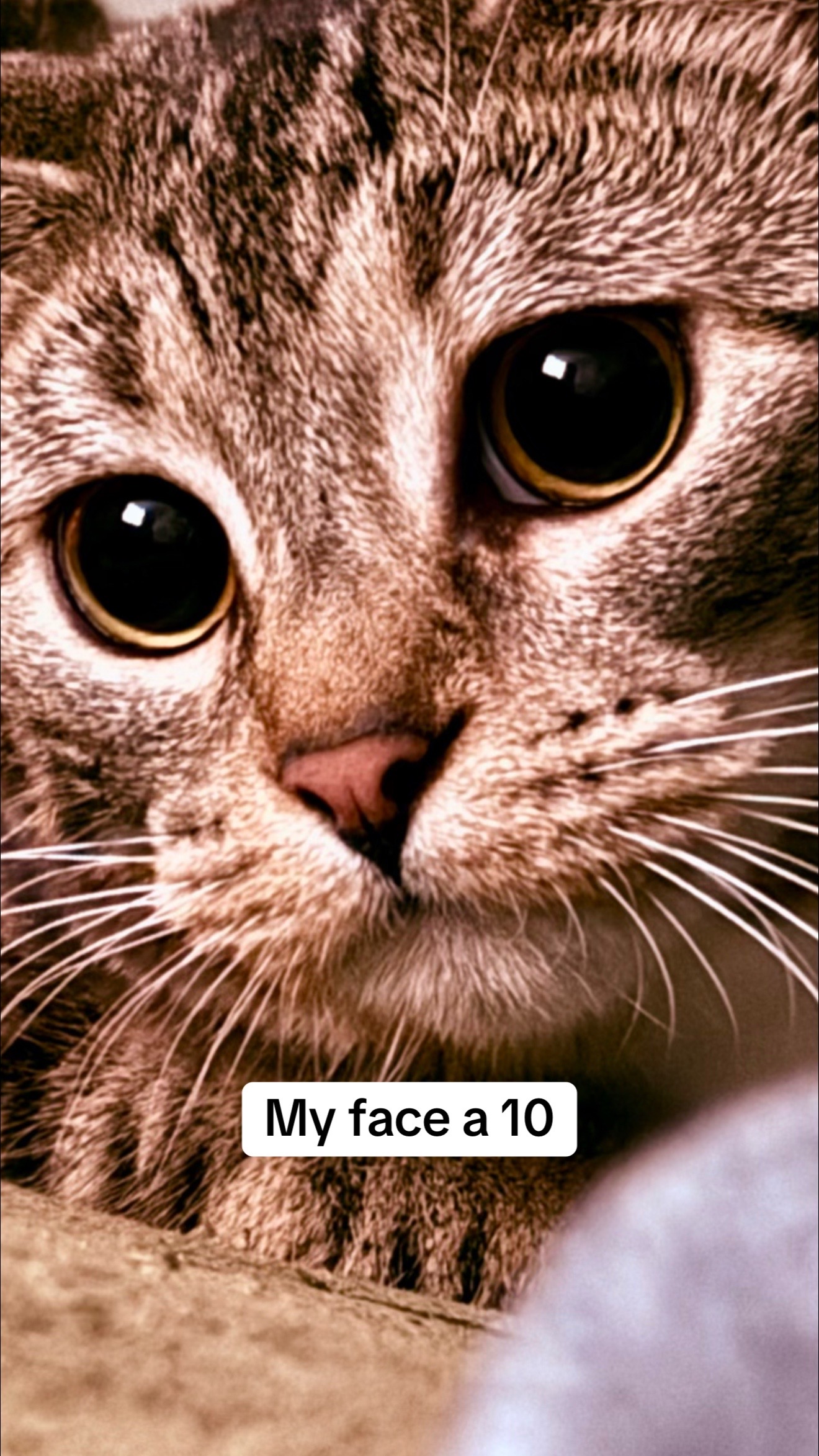 @jaydidwhatnow