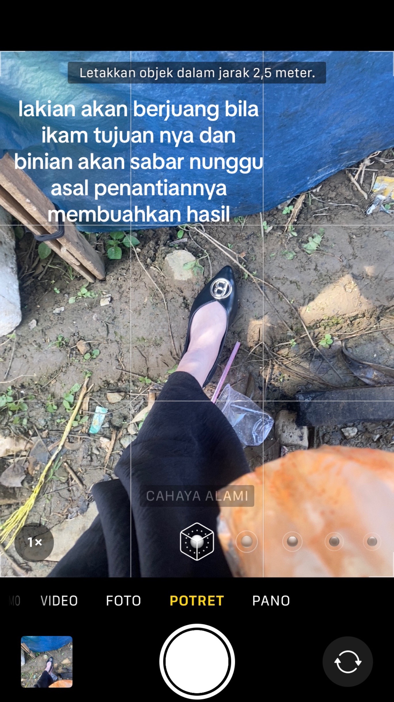 @ebew