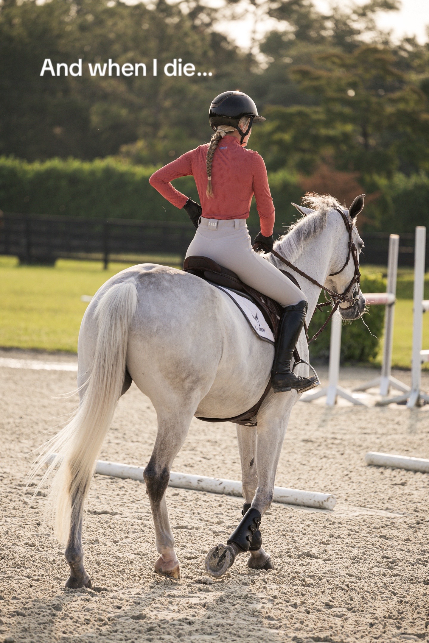 @Equisite Elements of Style