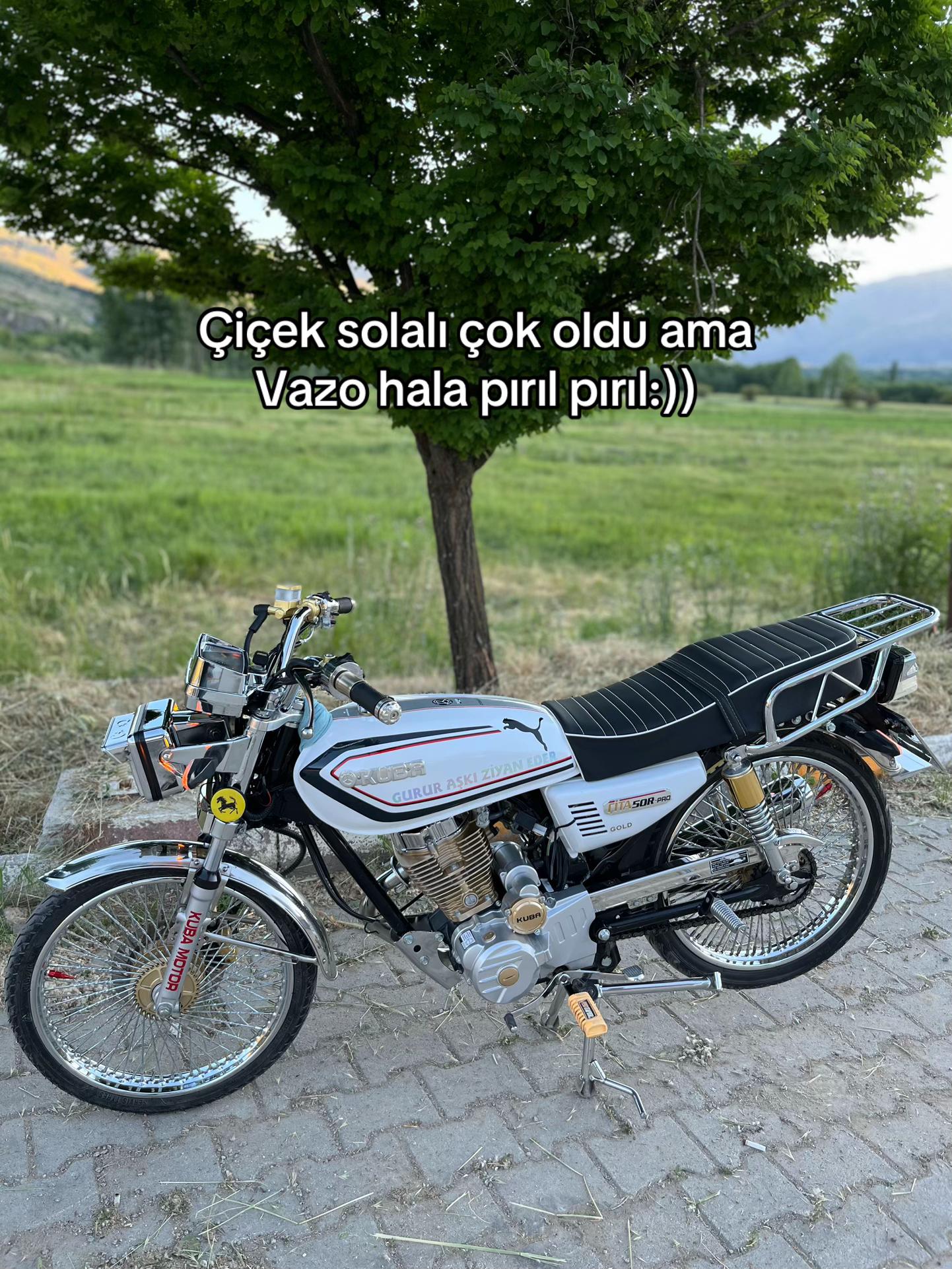 @𝐌𝐞𝐡𝐦𝐞𝐭