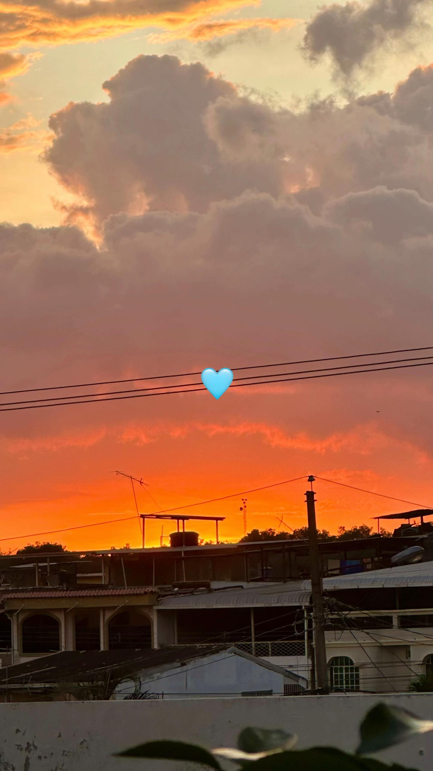 @Eli 🌸💫