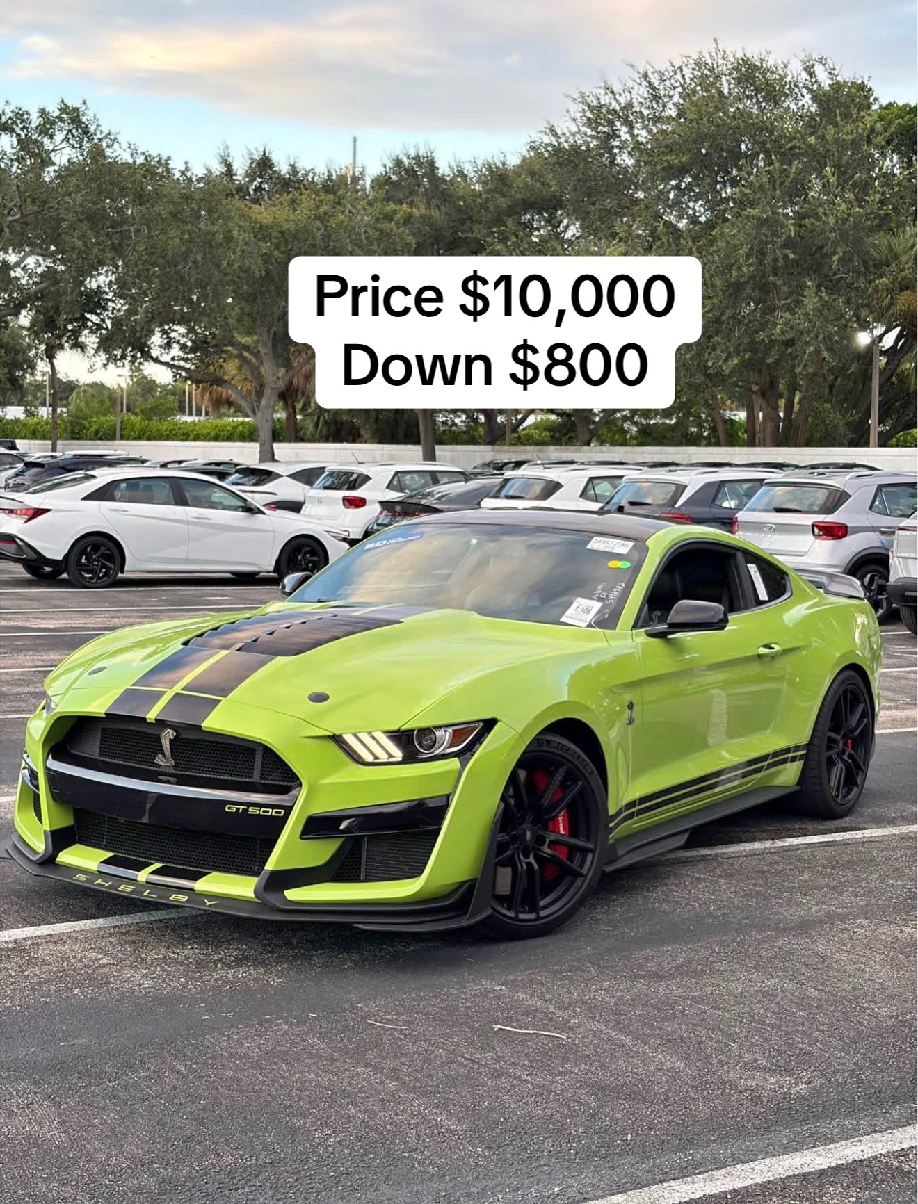 @BANK SEIZED CARS
