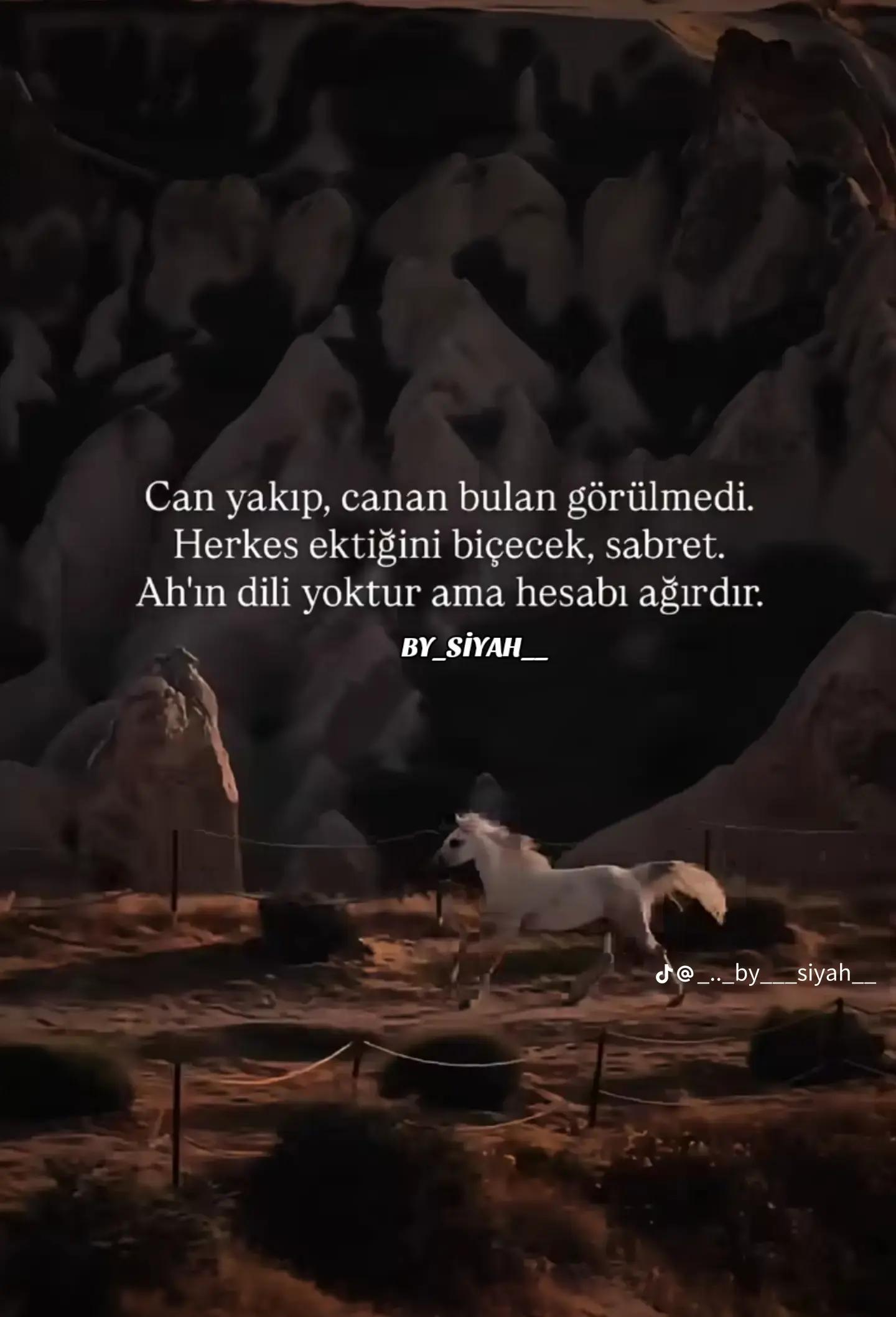 @sultan Şen