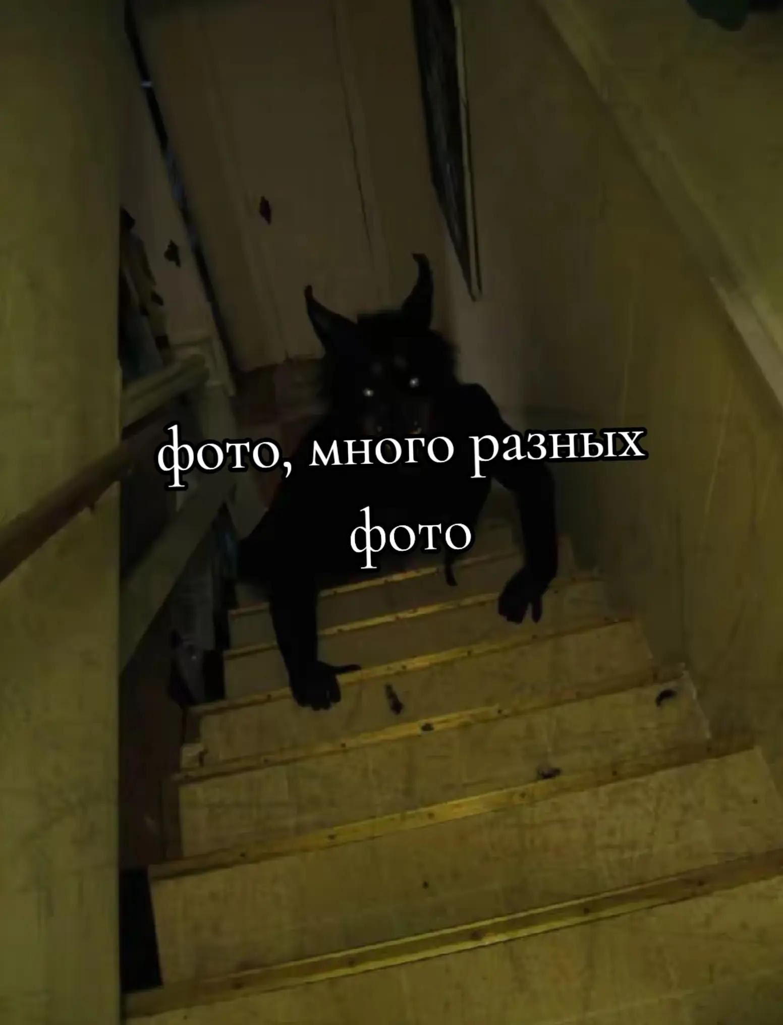 @☥ 𝕸𝖆𝖓𝖉𝖆𝖗𝖎𝖓𝖐𝖆 ☥
