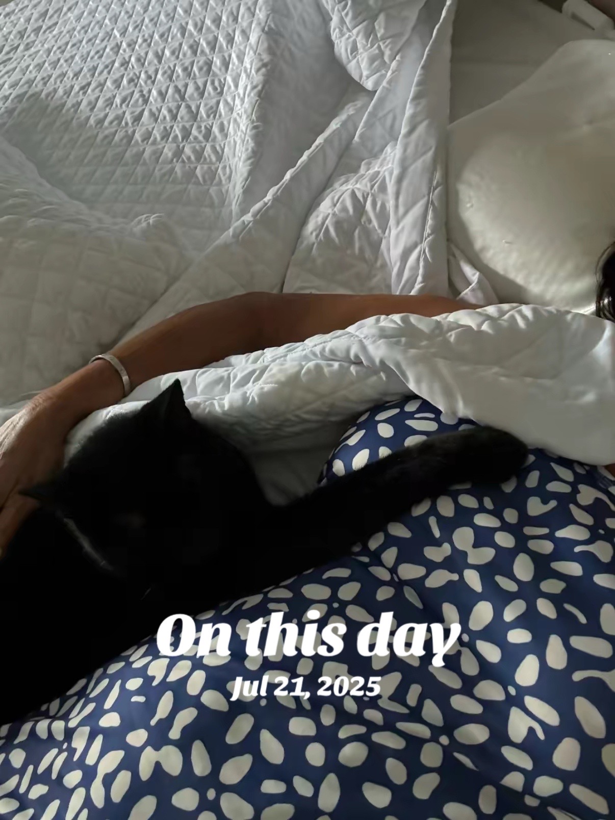 @Oscar Jeremy the cat!