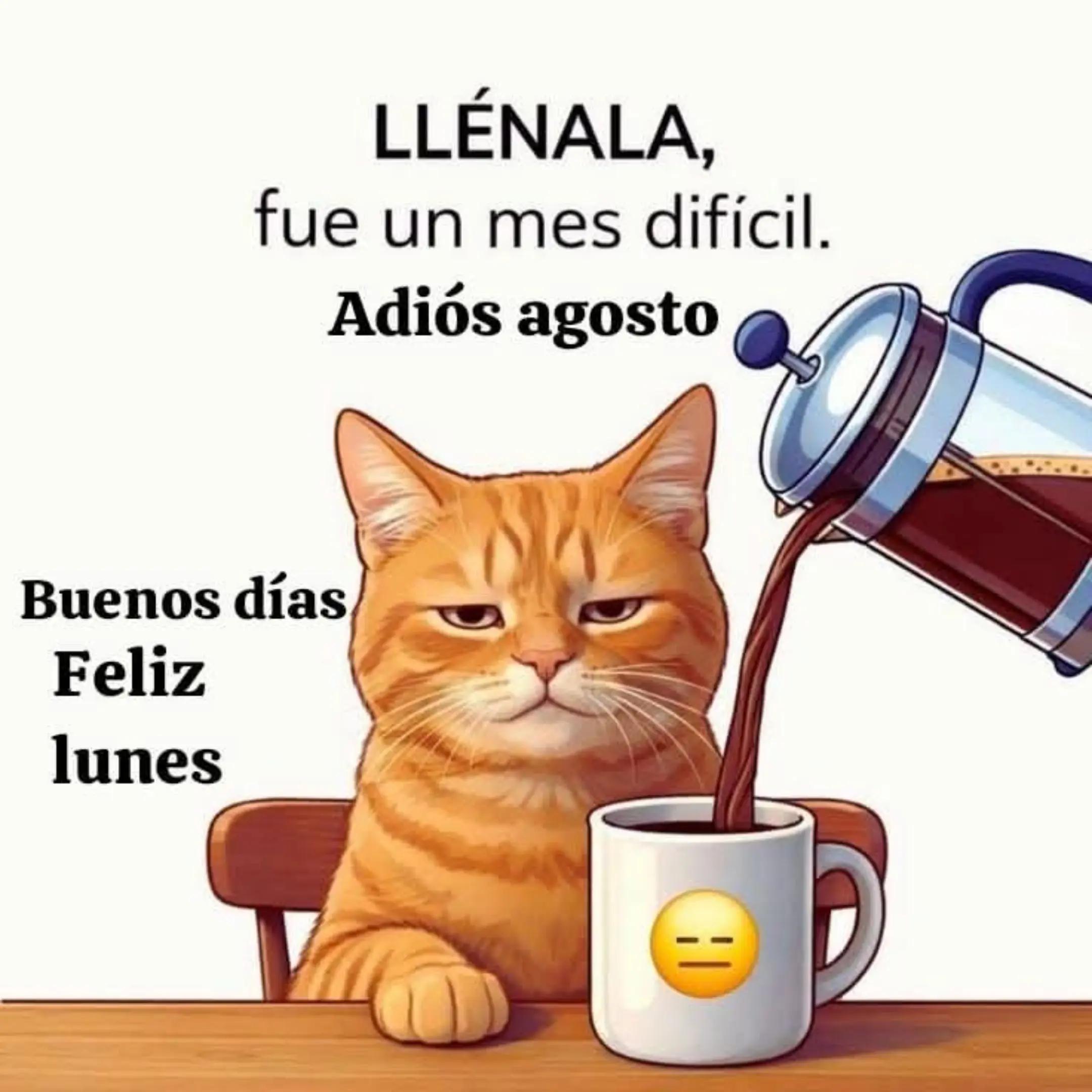 @FABI.GIM.13