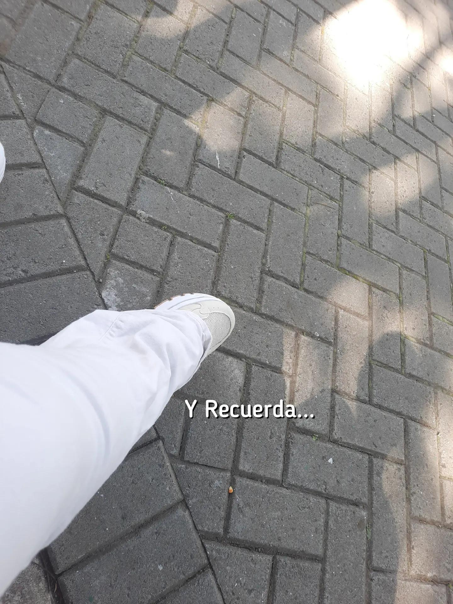 @𝑆𝑜𝑓𝑖a٭