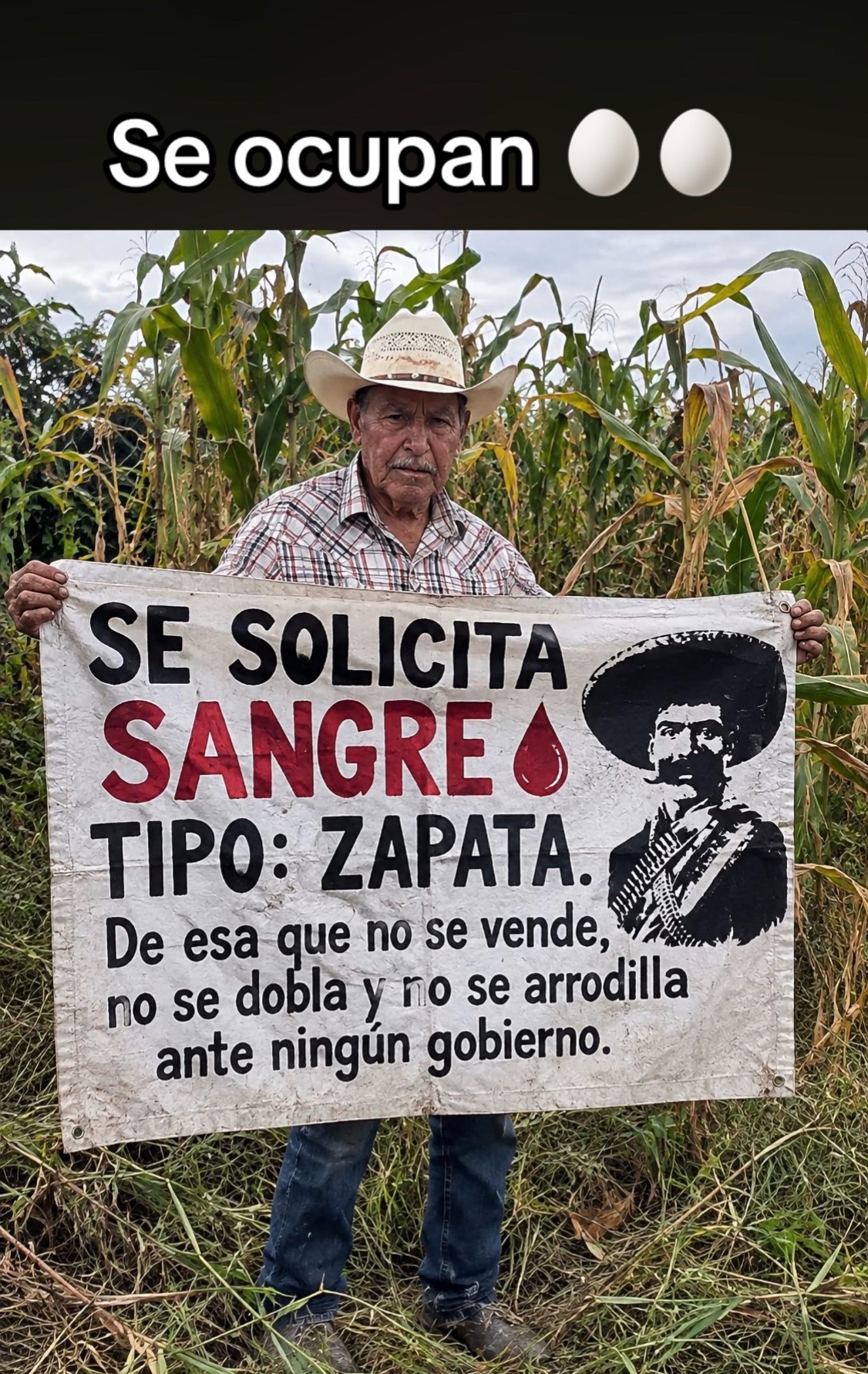 @Reporte-ando