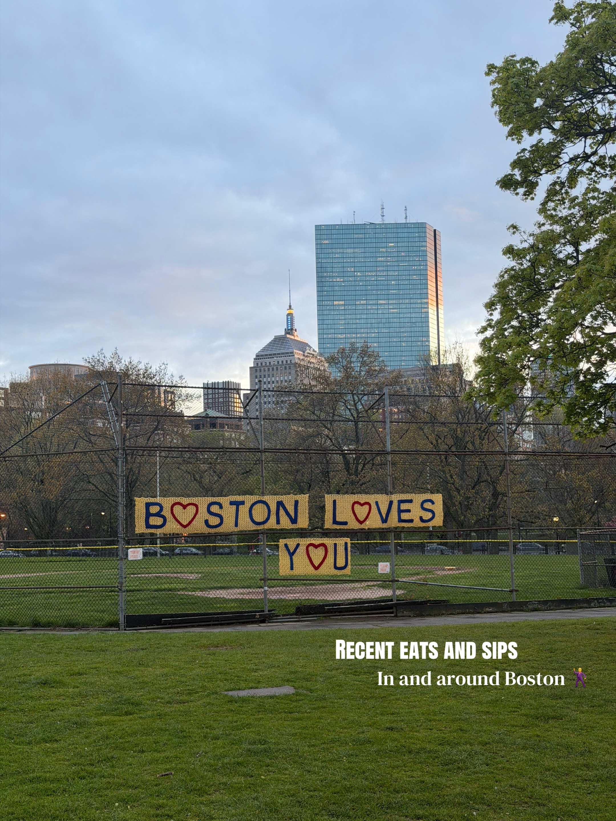 @sasha | beantown babe 🦞