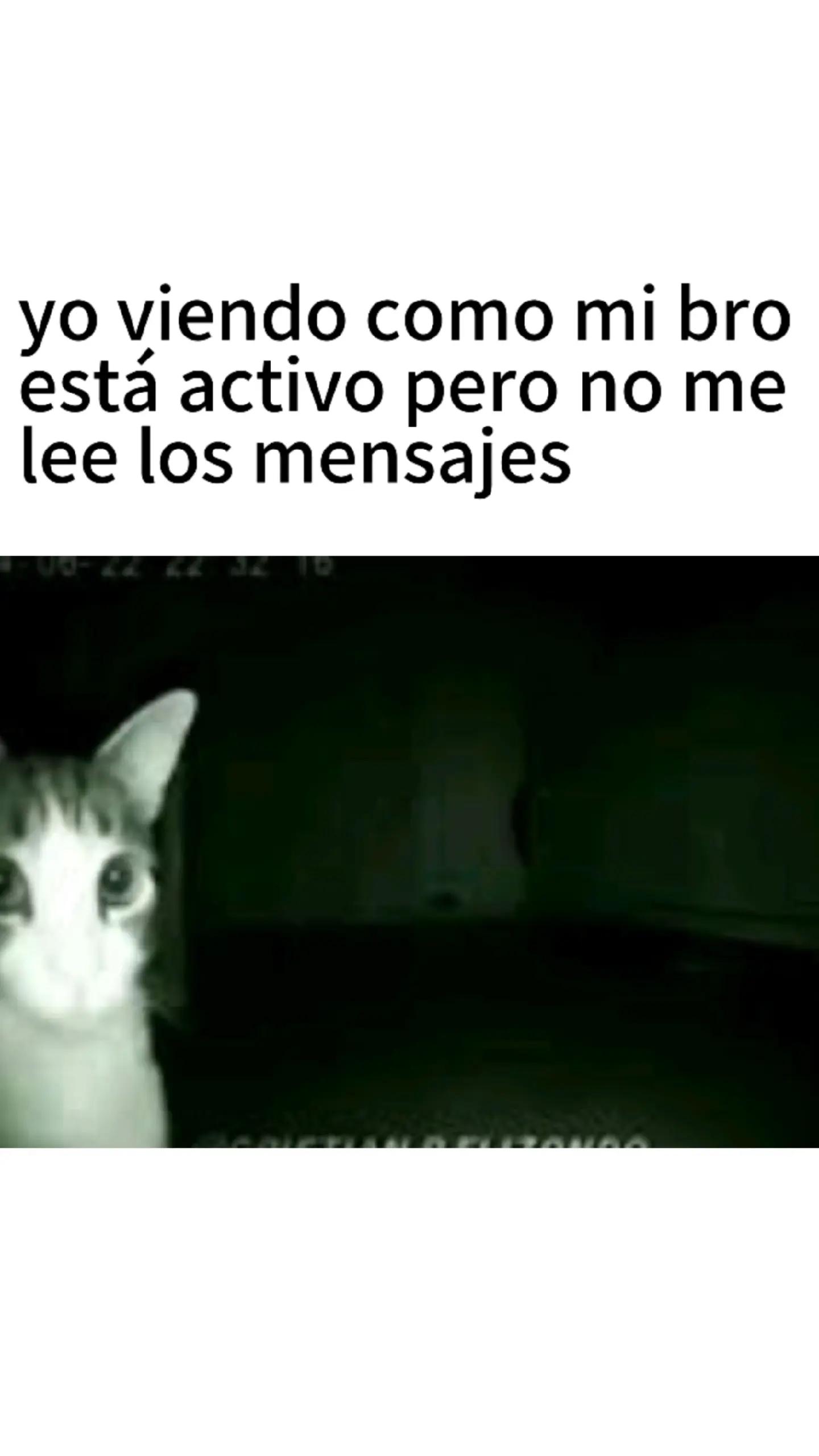 @SoyRamiroG