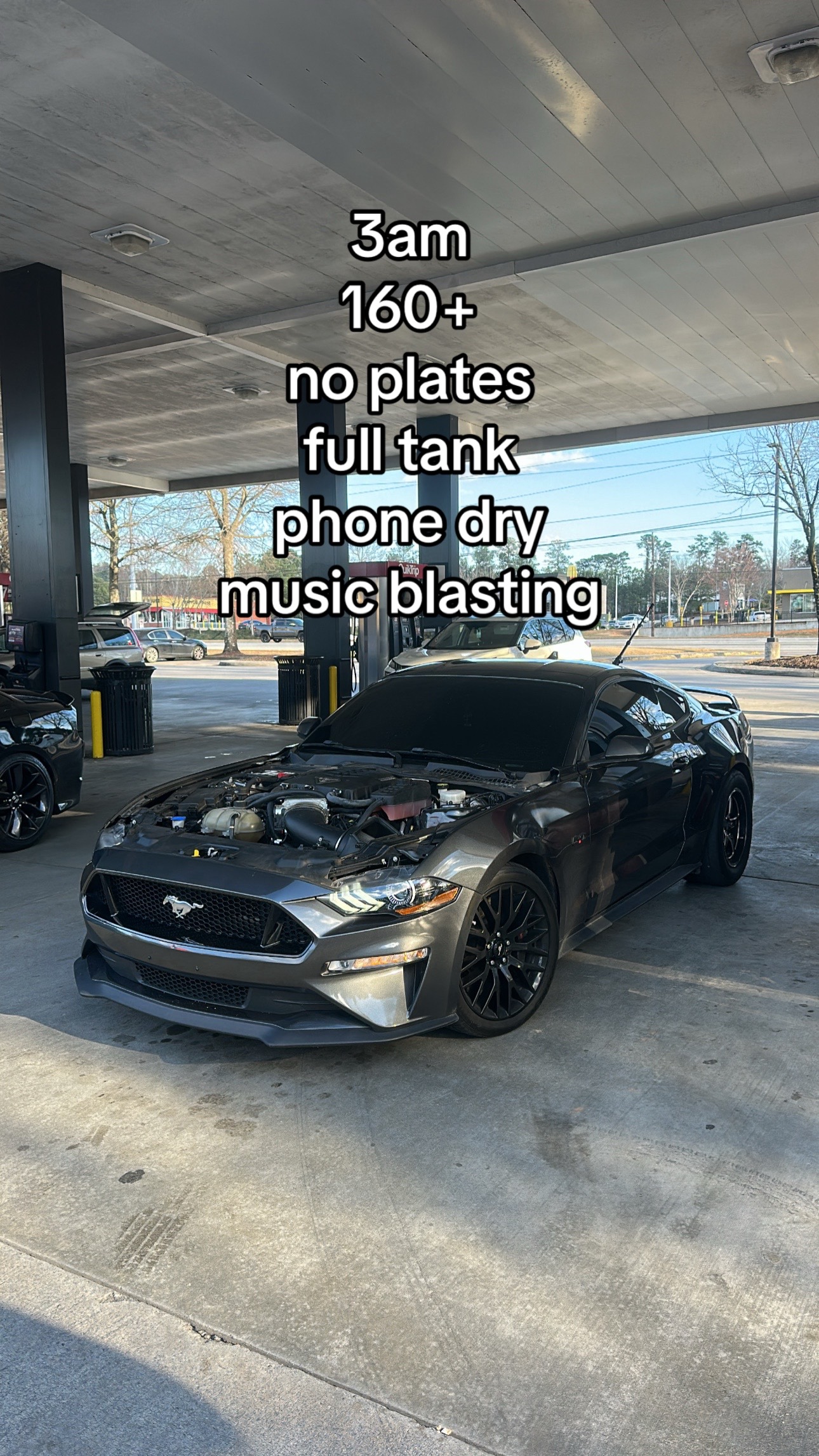 @pluto