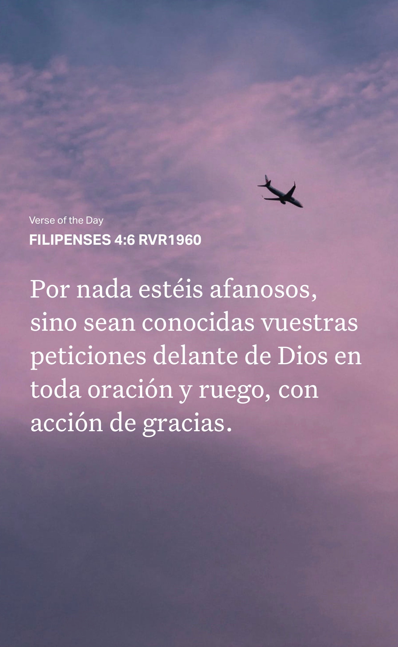 @Ministra Lizbeth Almonte 🦋🌷
