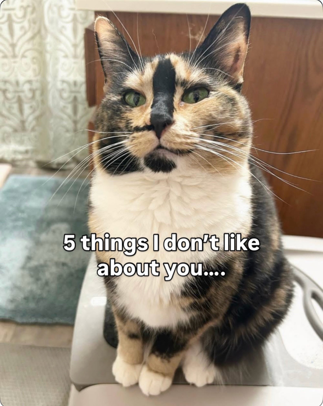 @SnickersTheSmilingCat