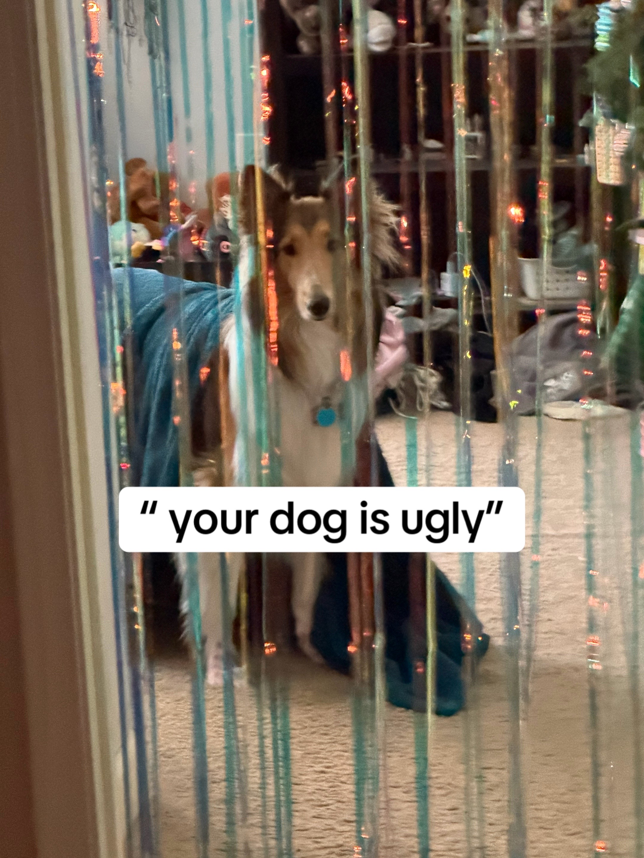 @liz and Alaska