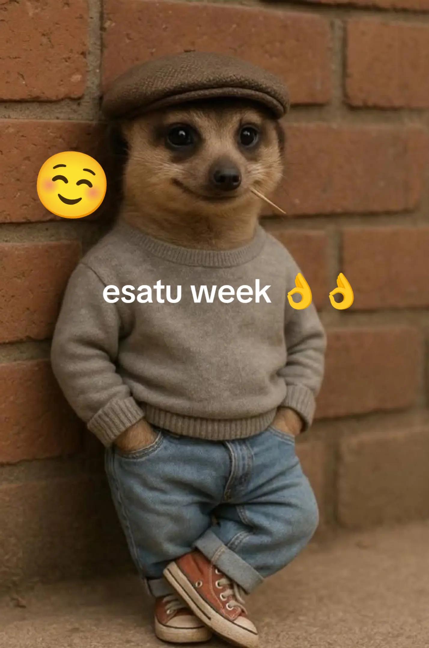 @loranancy