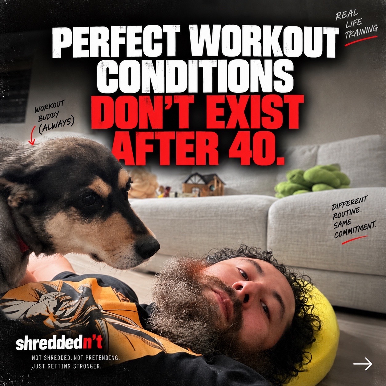 @shreddednt