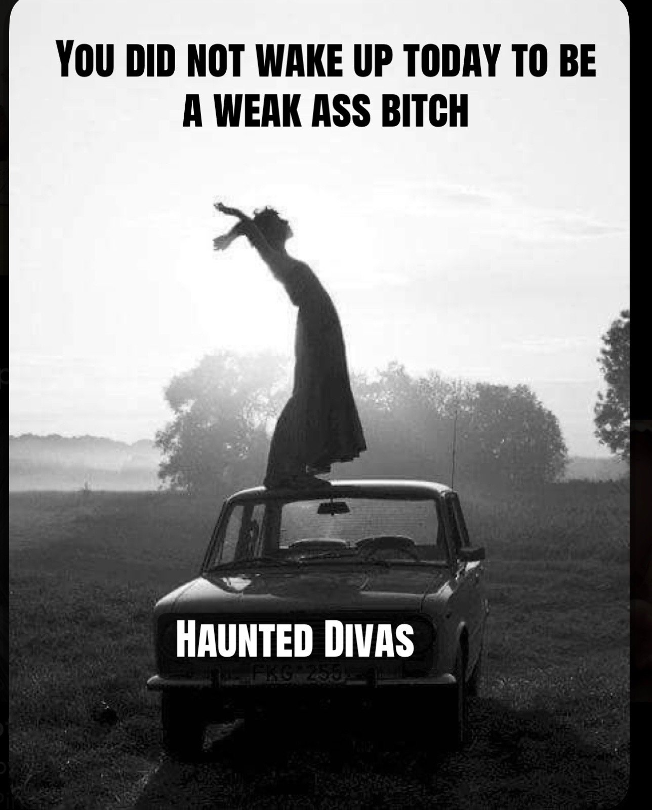 @haunted.divas