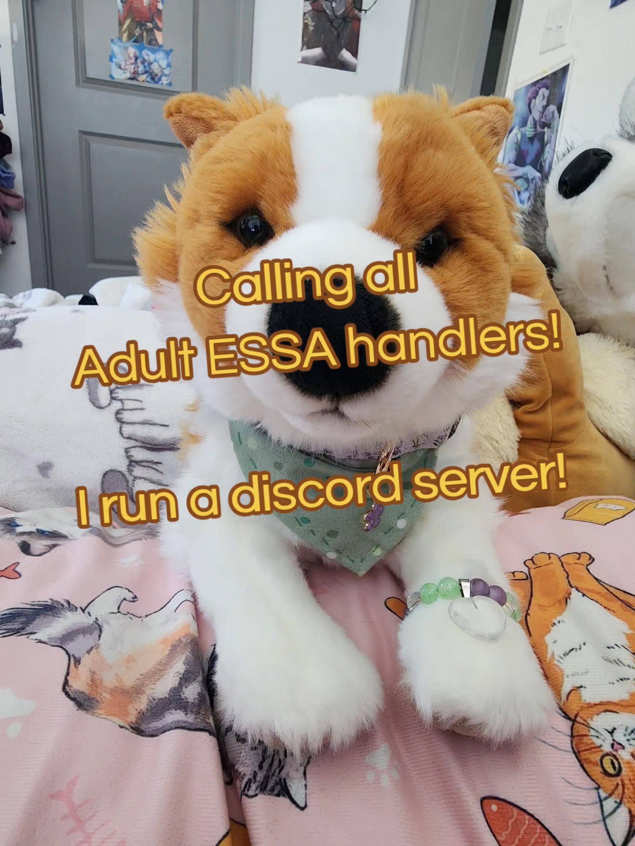 @๐ป Autistix Shiba ๐ณ๏ธ๐