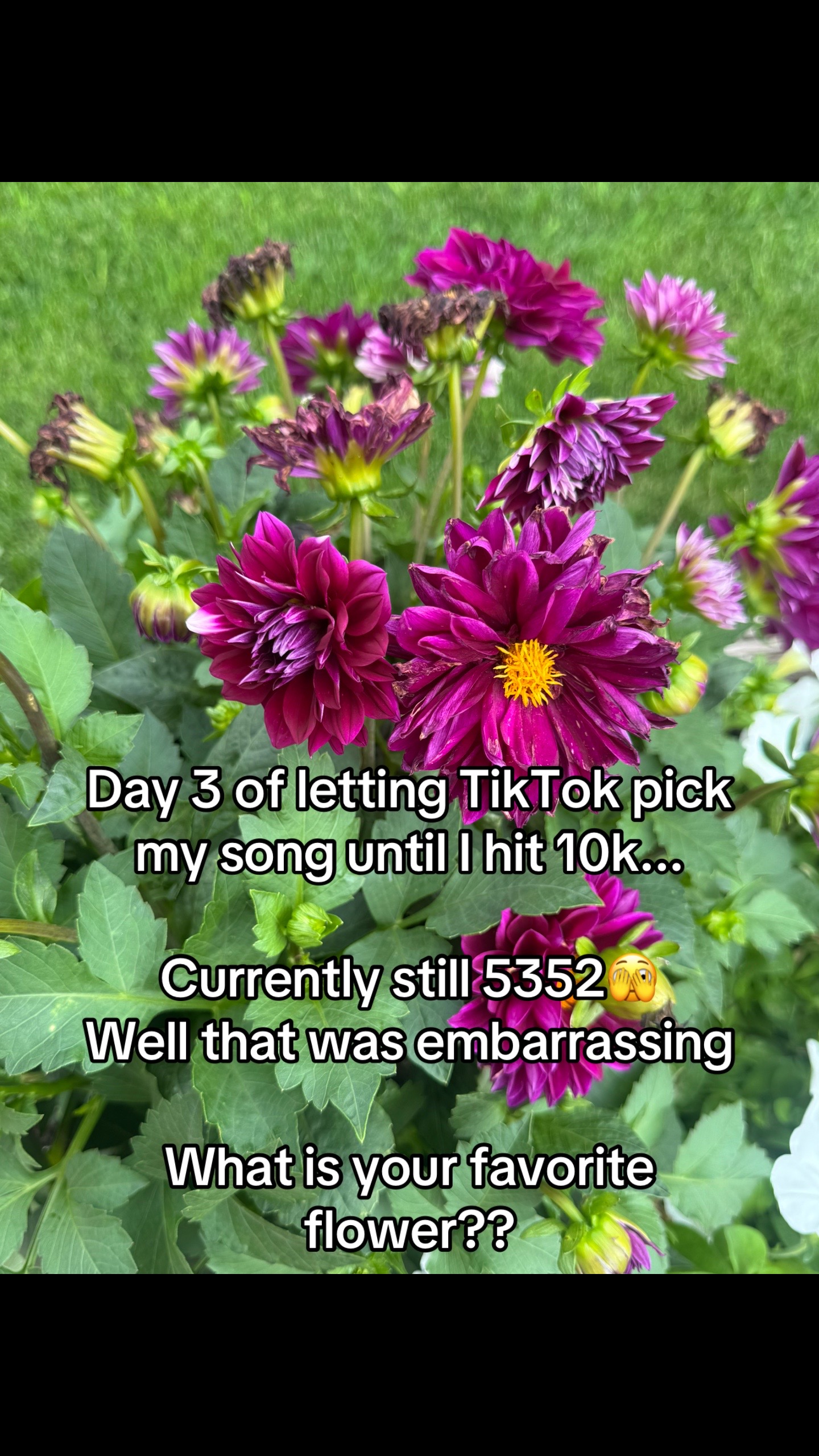 @Kara