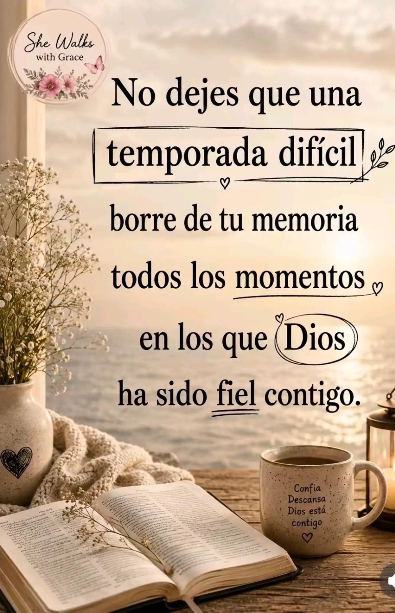 @damarymolina