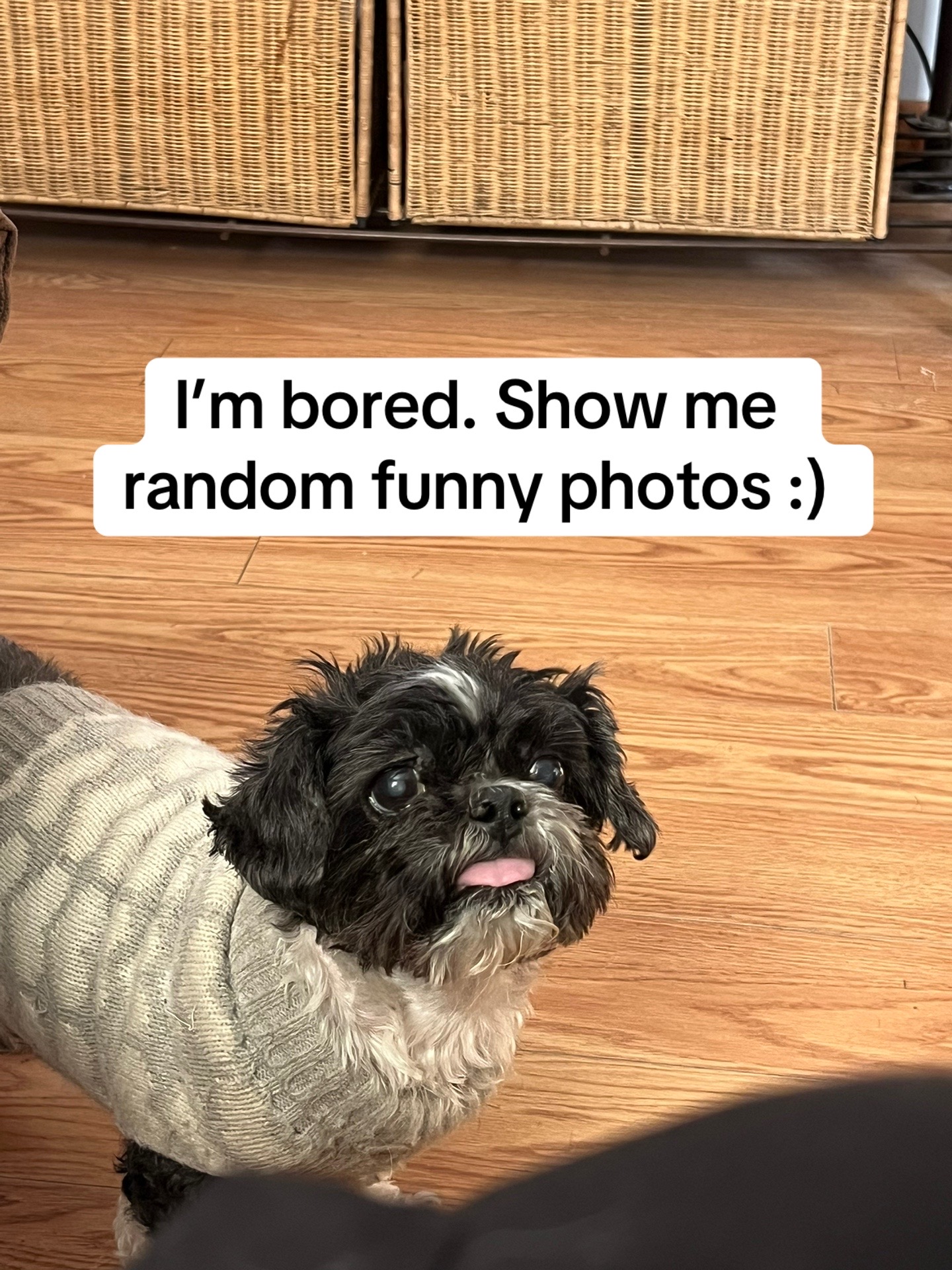 @Devin 💛🤍💜🖤