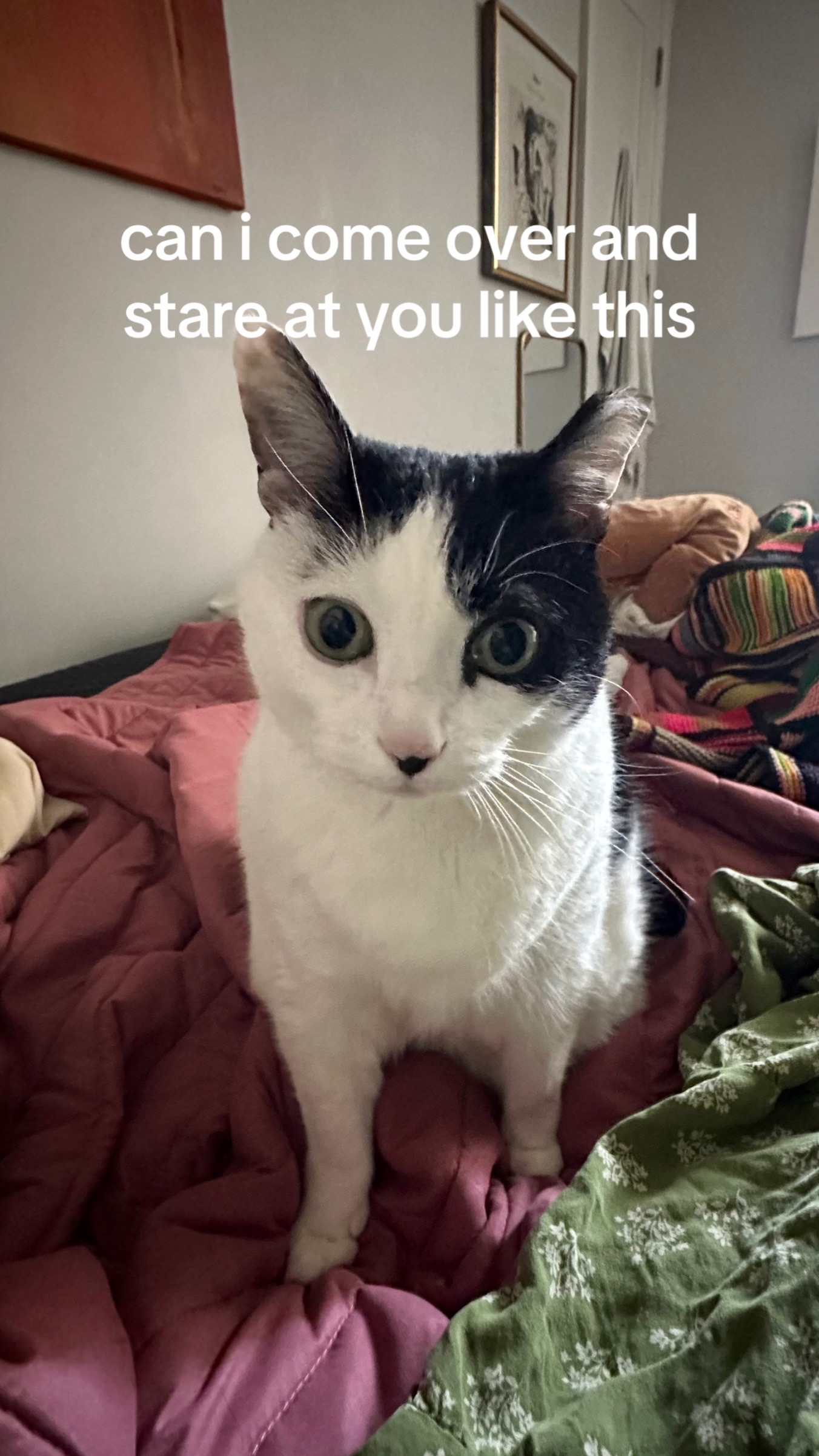 @fartsmcbutts69420