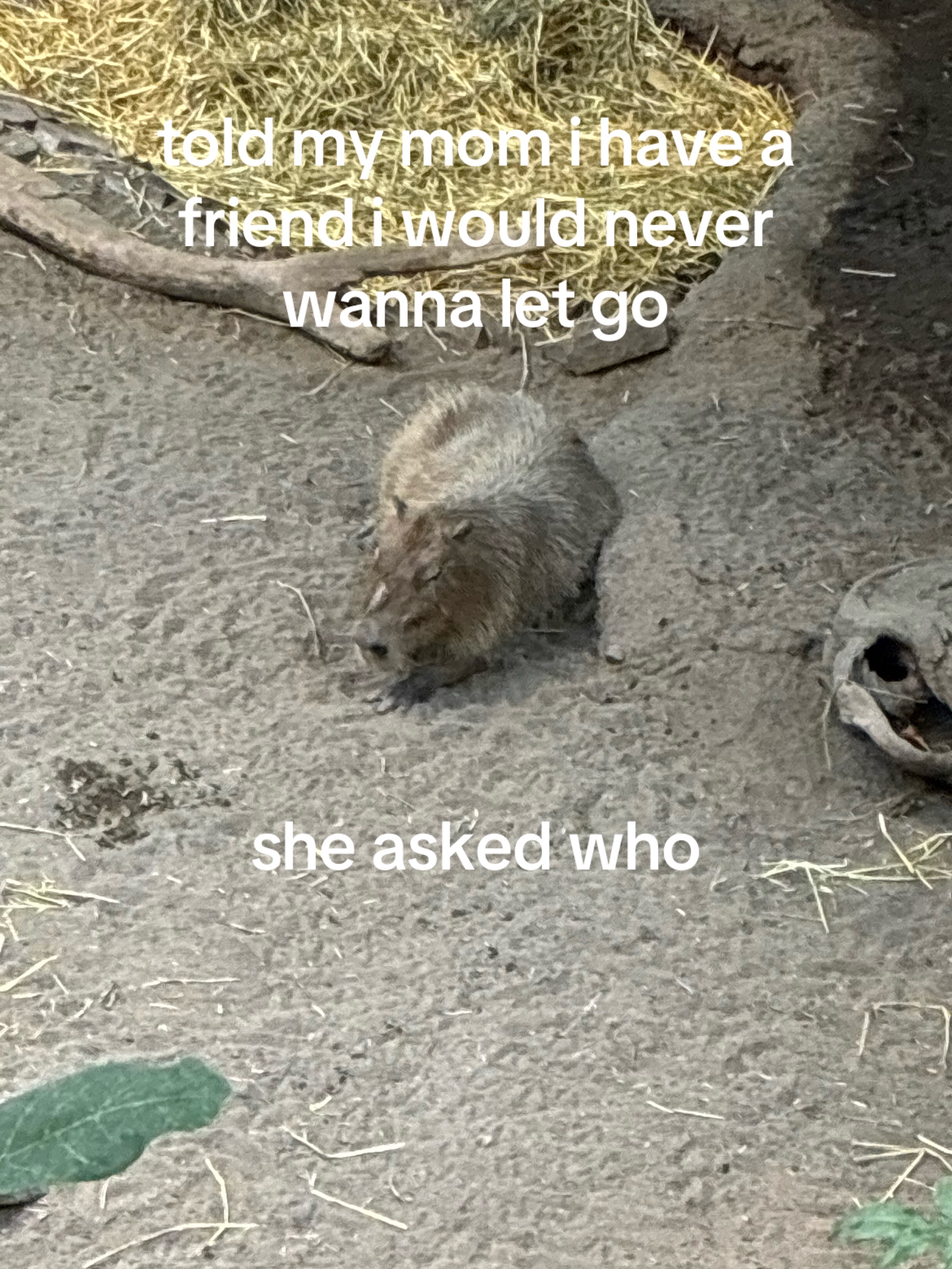 @kk