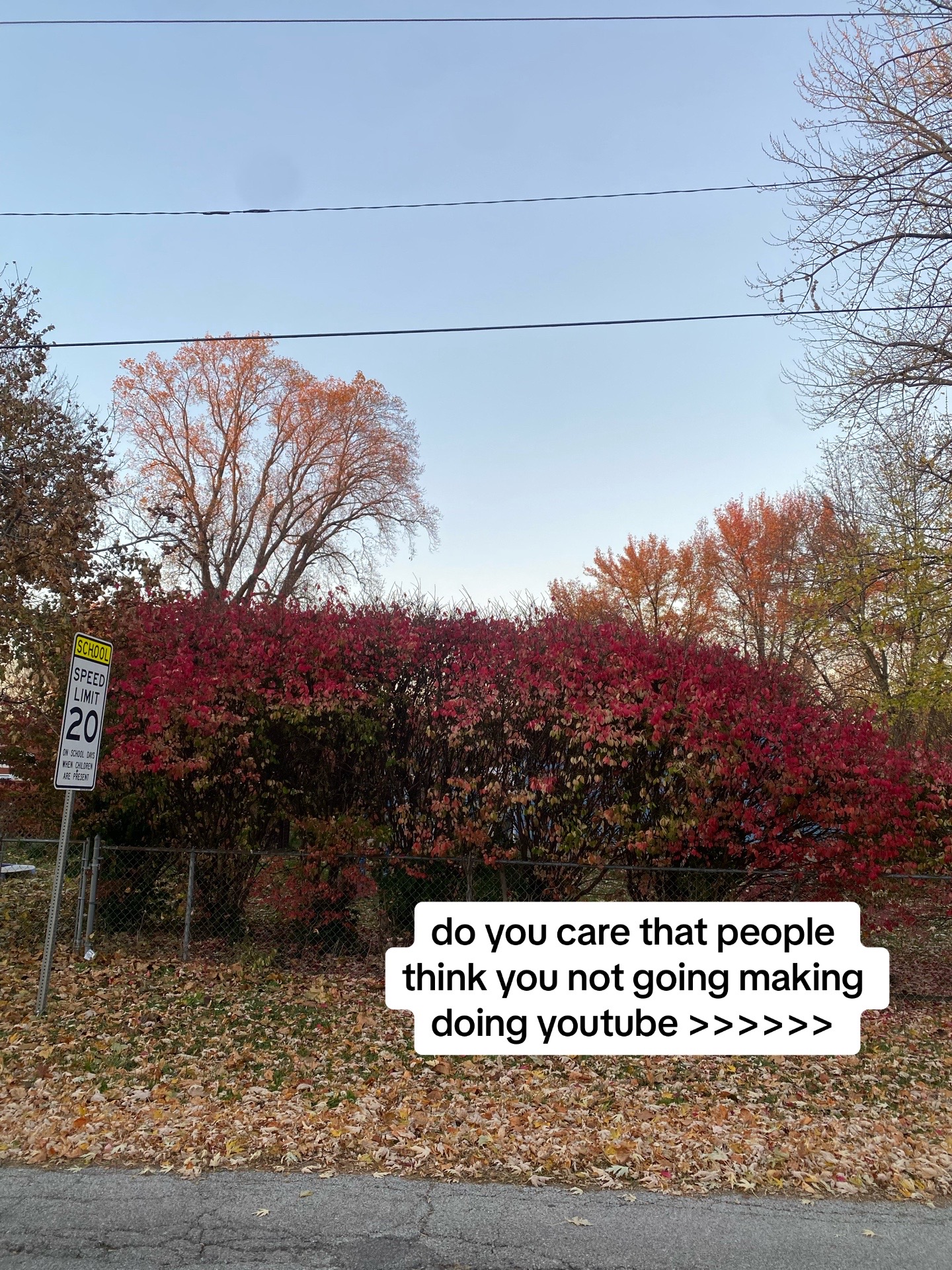 @itzniko