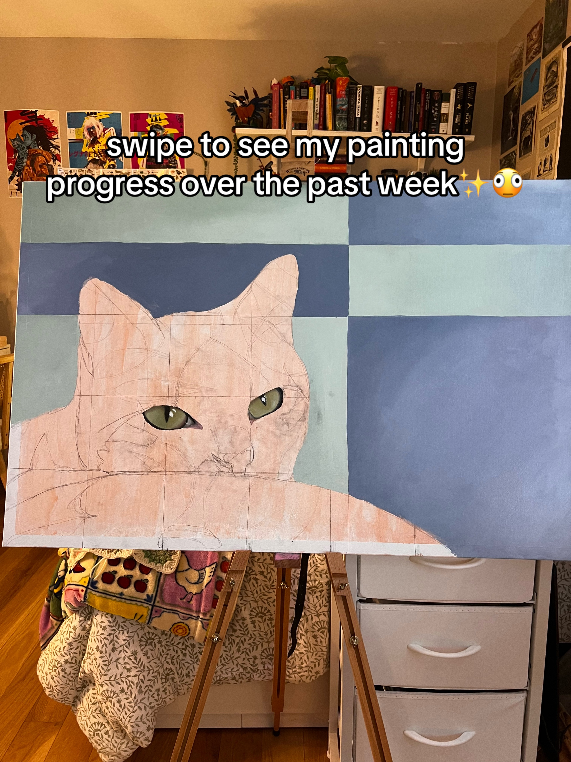 @Cam