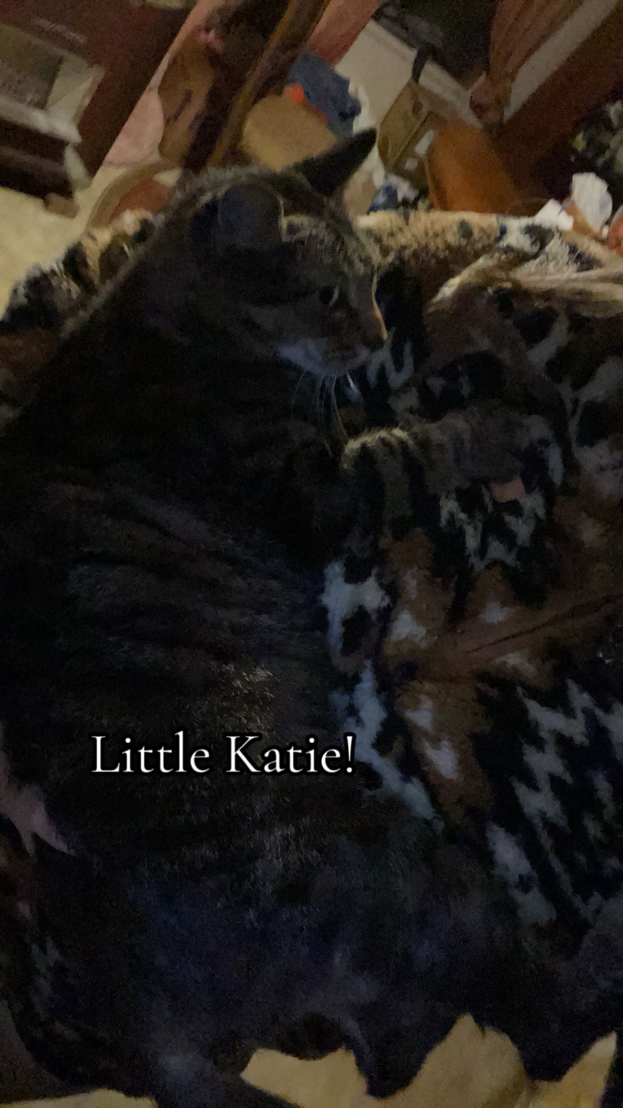 @Lillie!๐