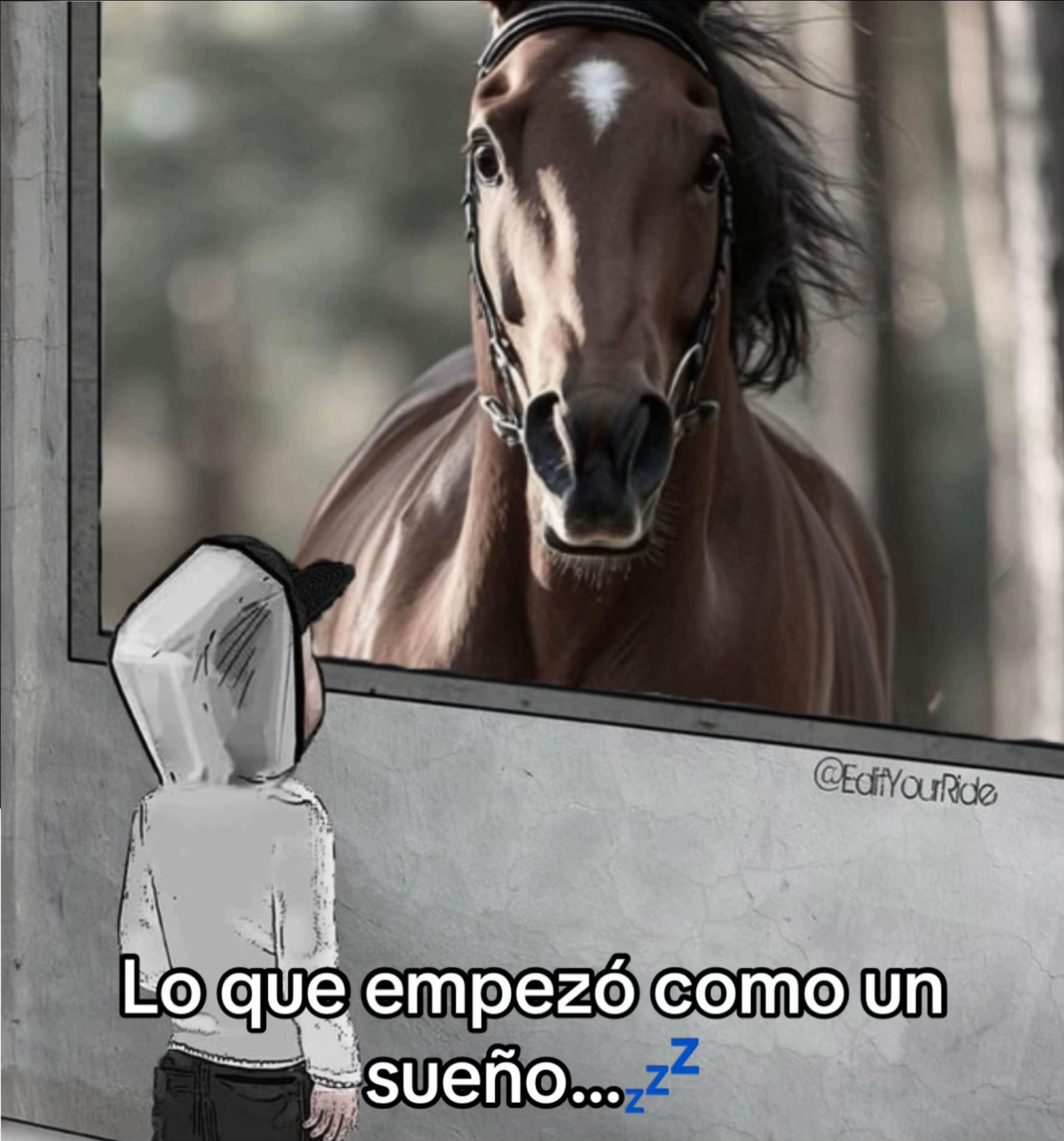 @Adolfo Gonzalez Ruiz