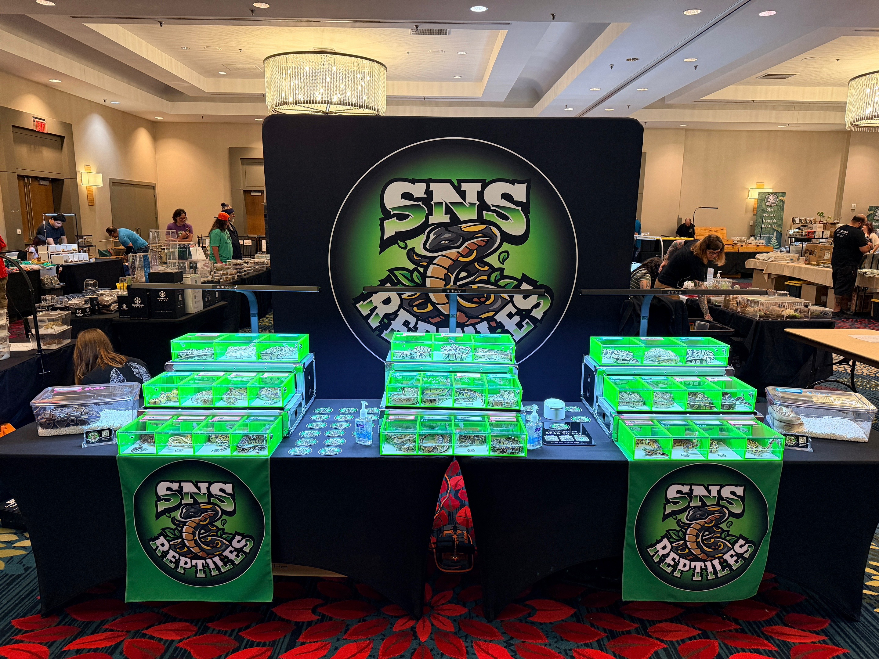 @SNS Reptiles