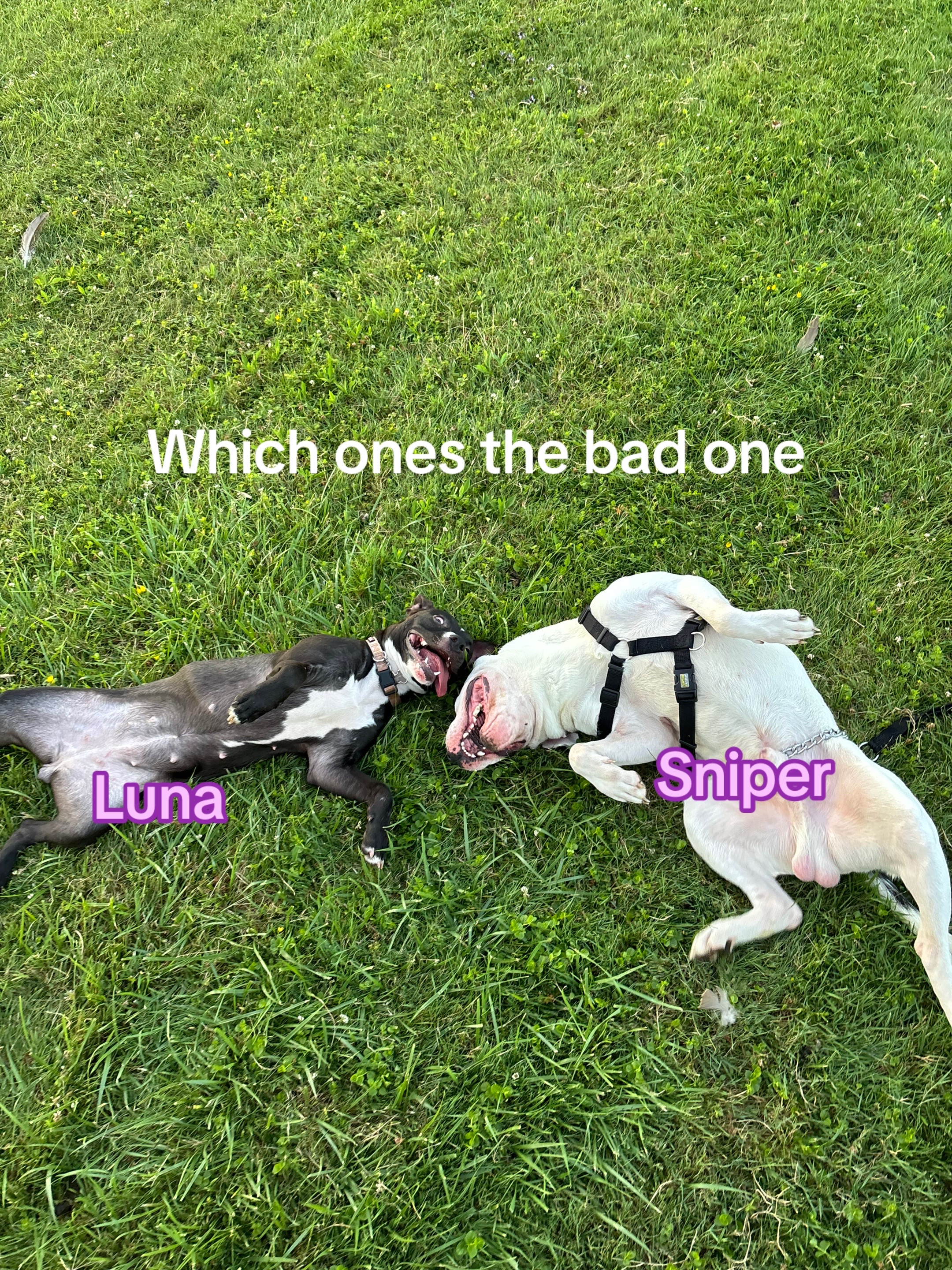 @Sto