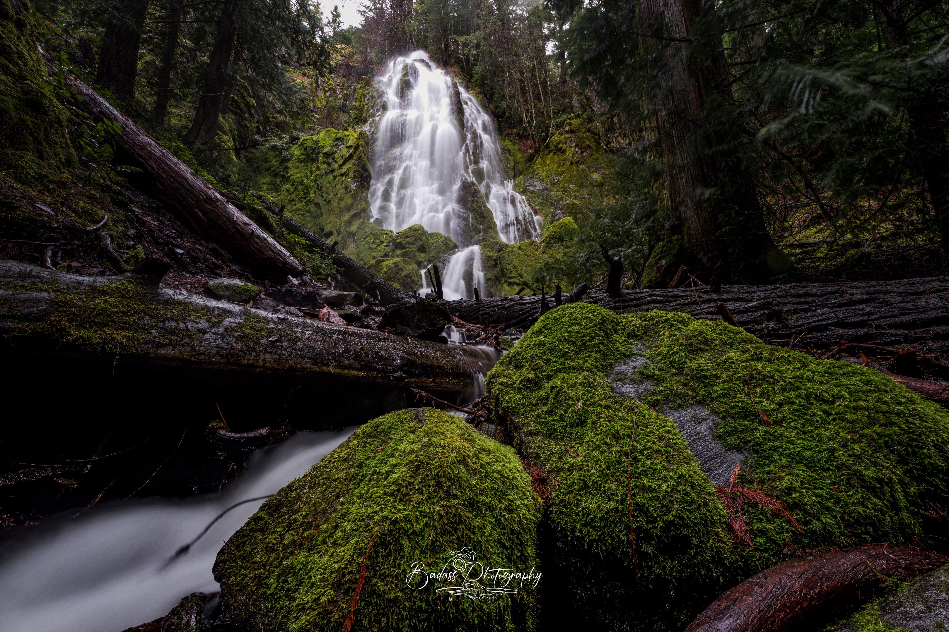 @Badassphotography_PNW