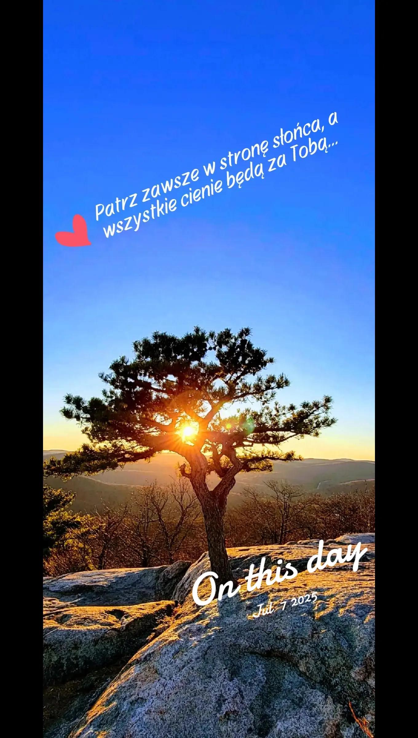 @mariolanu0