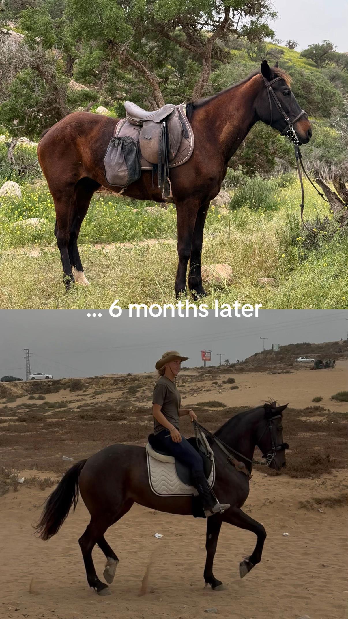 @Soulridesmorocco