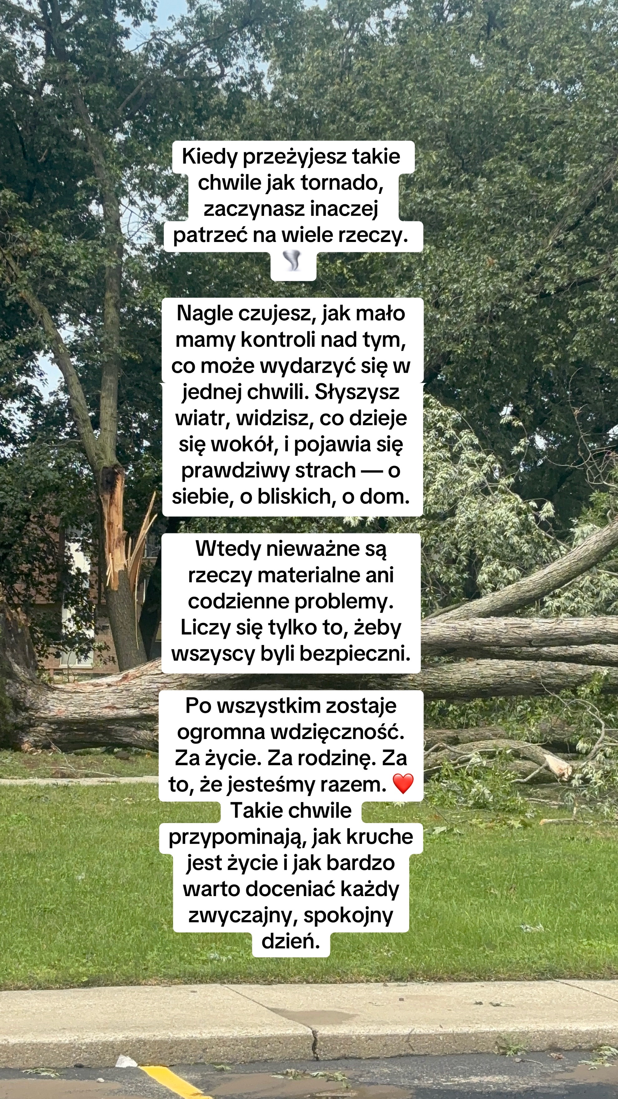 @Violetpicks💎🇺🇸🇵🇱
