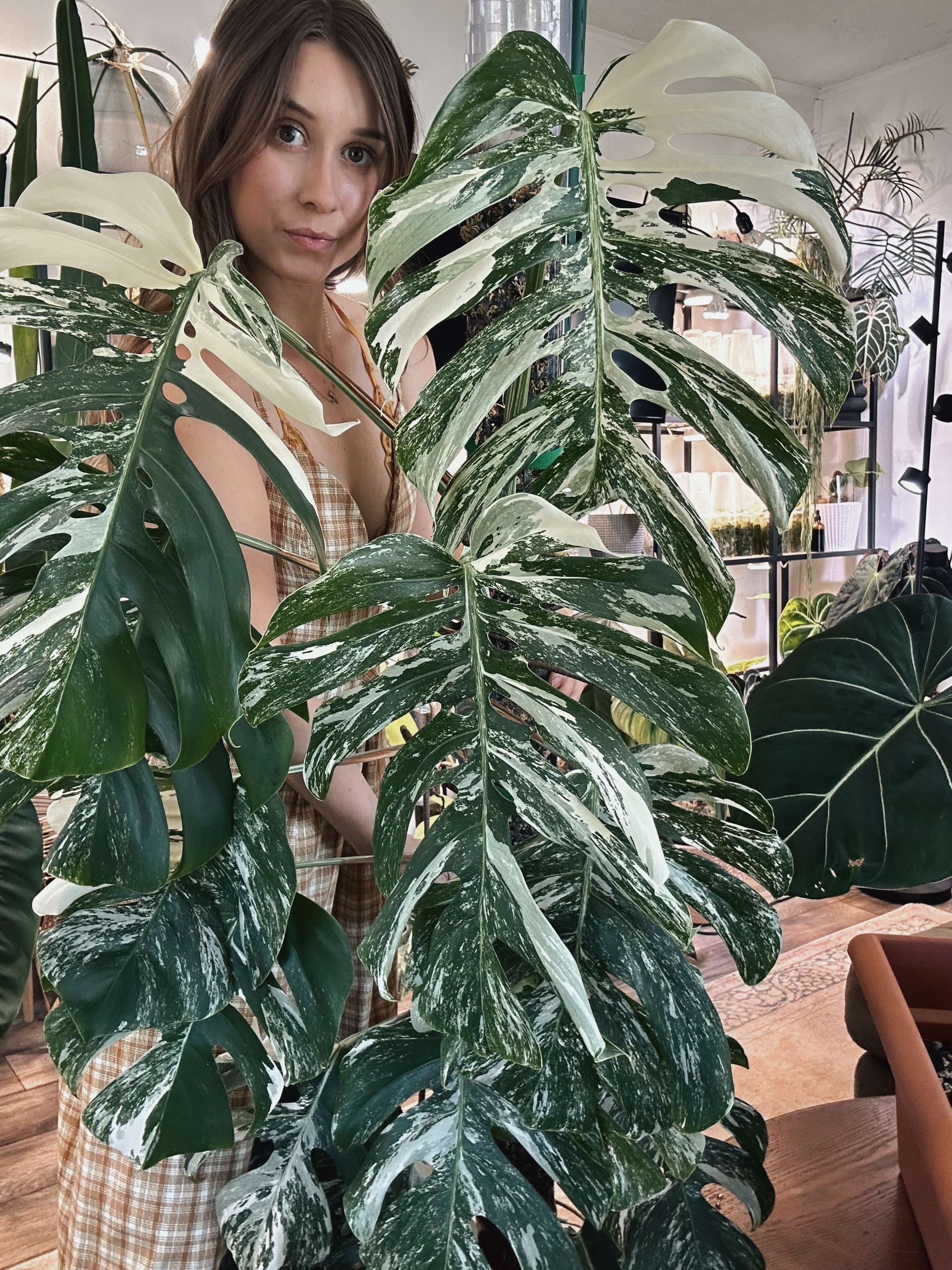 @theplantgirl_diaries