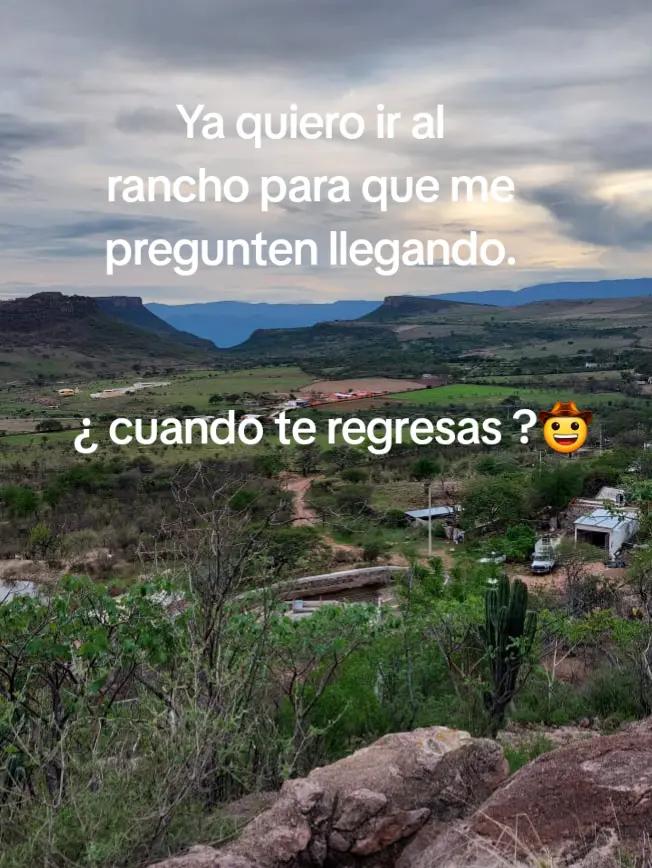@El zurdo🌵🐴