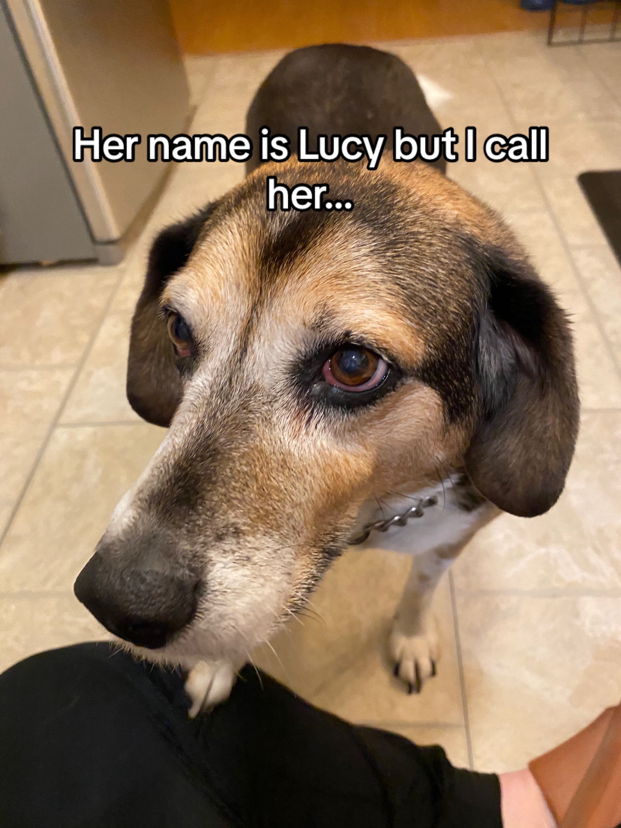 @Lizzypoo