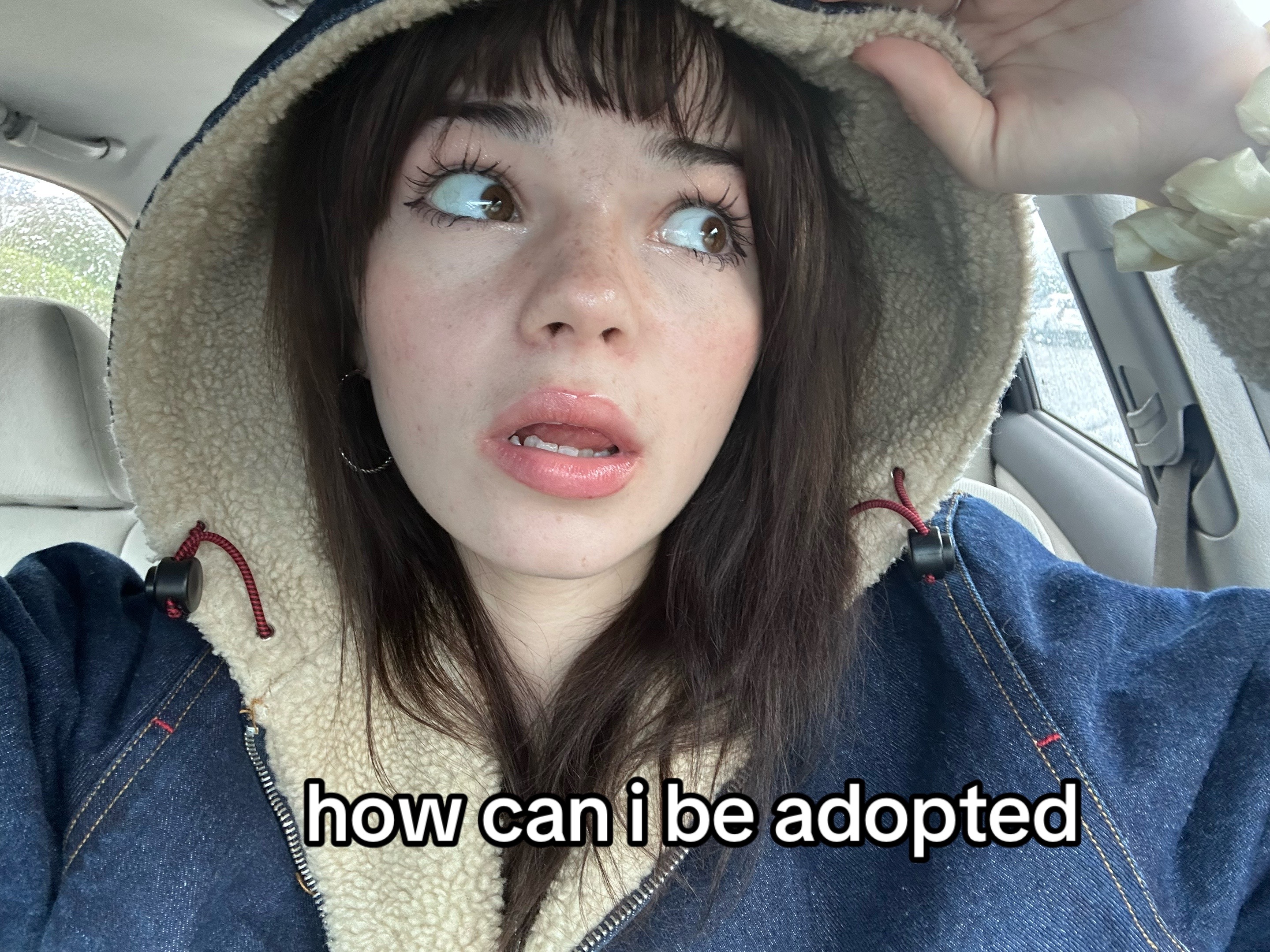 @lilybug