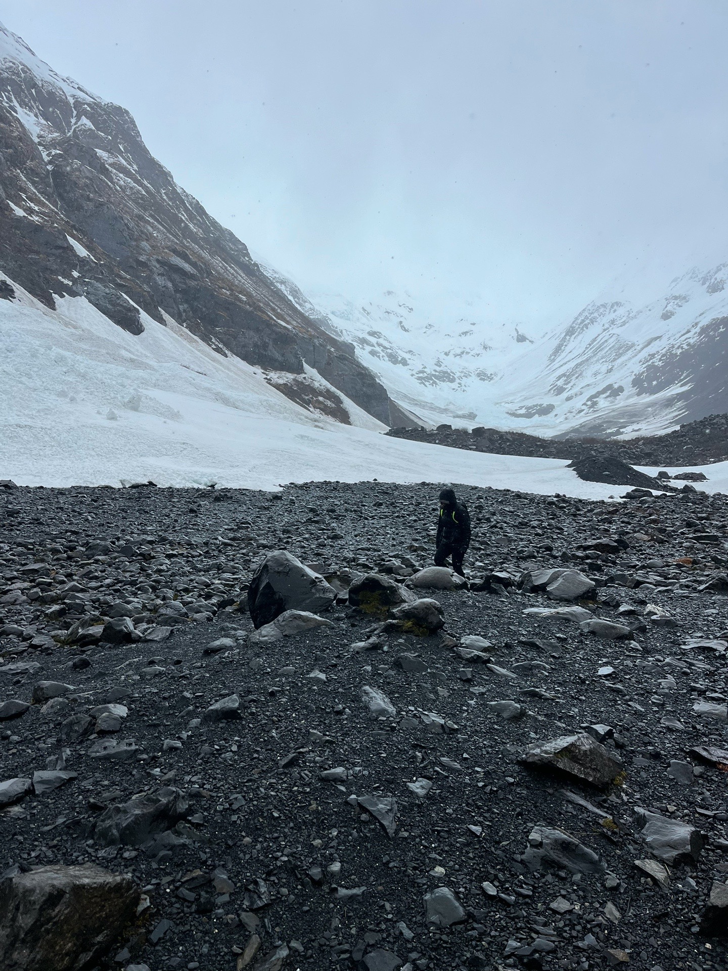 @Chasey Campbell 🏔️🕷️🐾