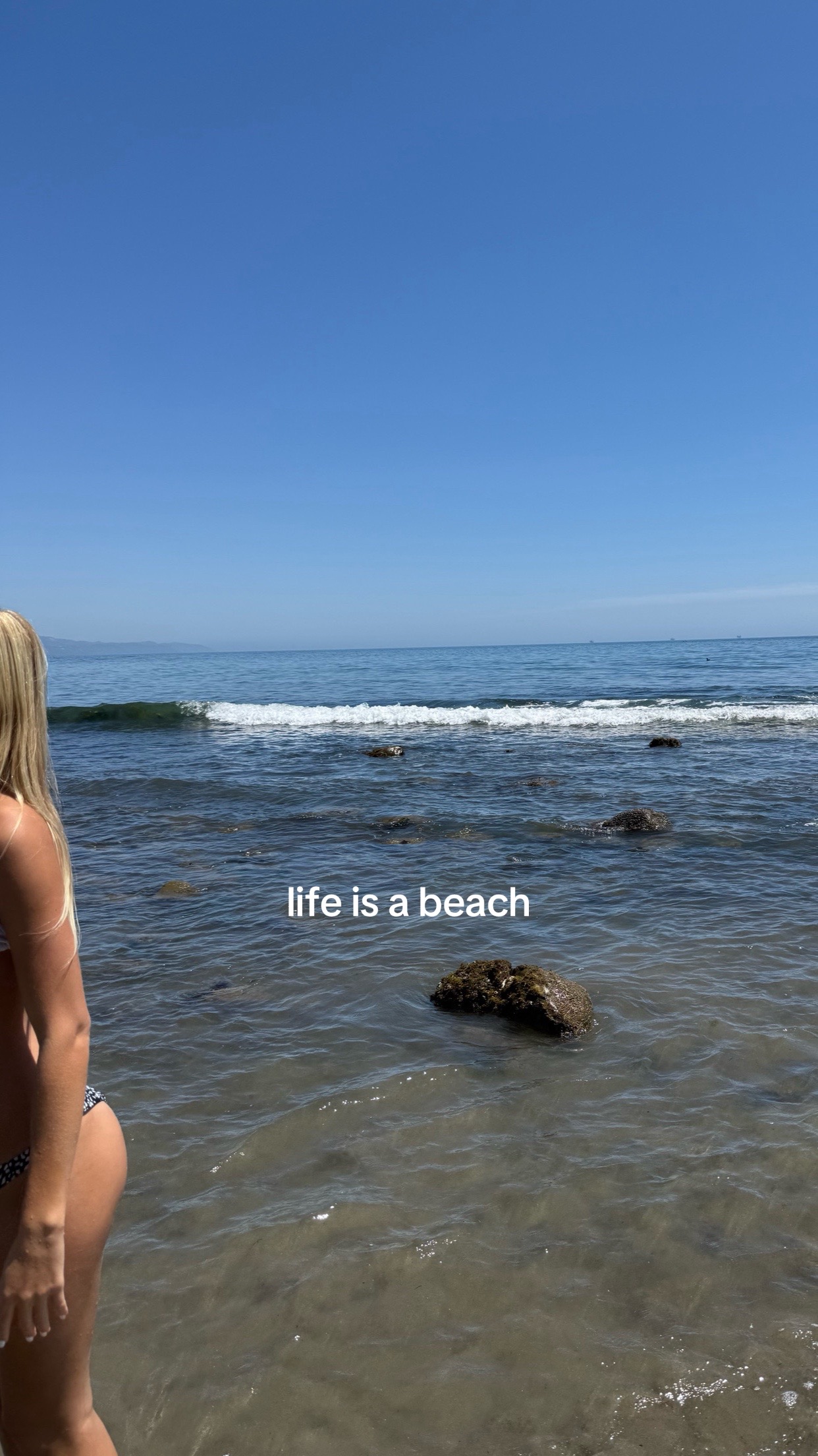 @Isabella Marino