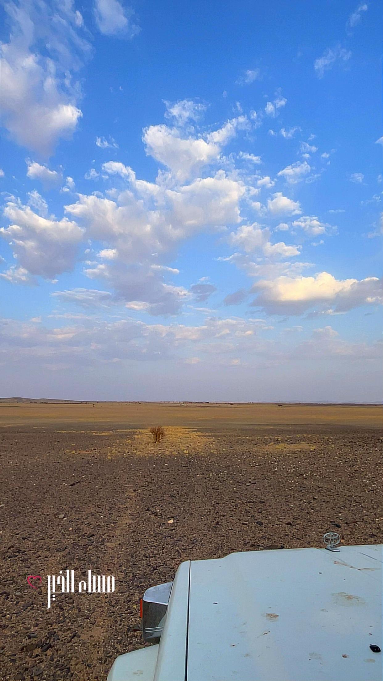 @(﮼صمت ﮼الجرو ح﮼)