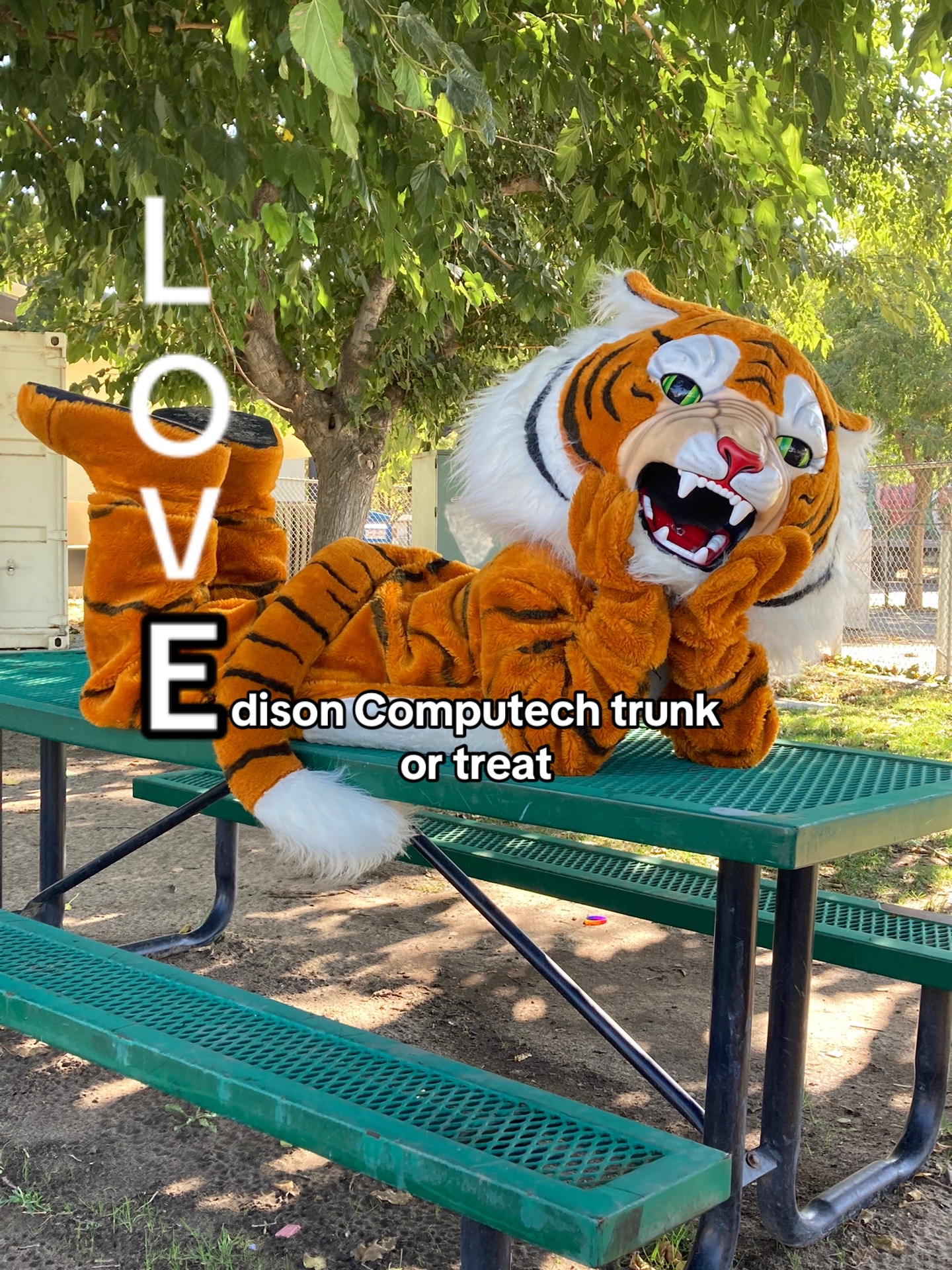 @Edison Computech Activities