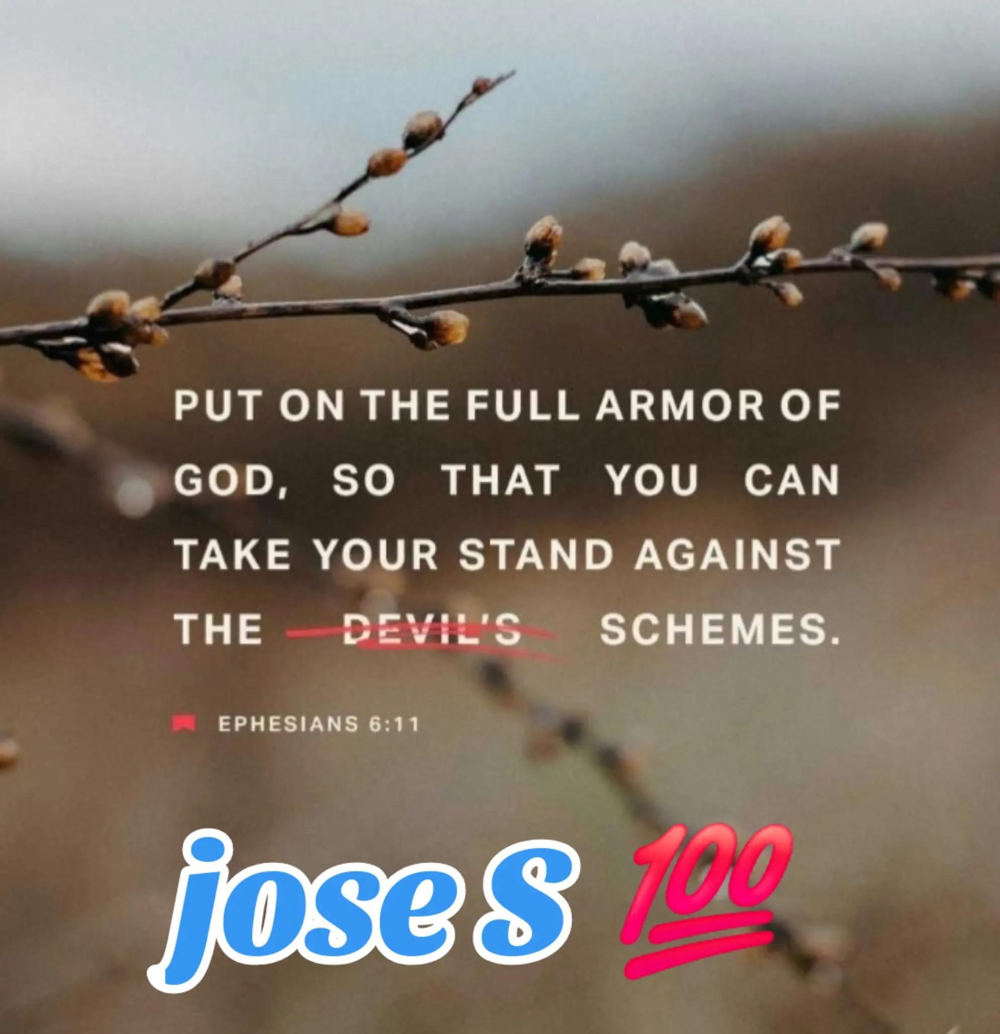 @jose S
