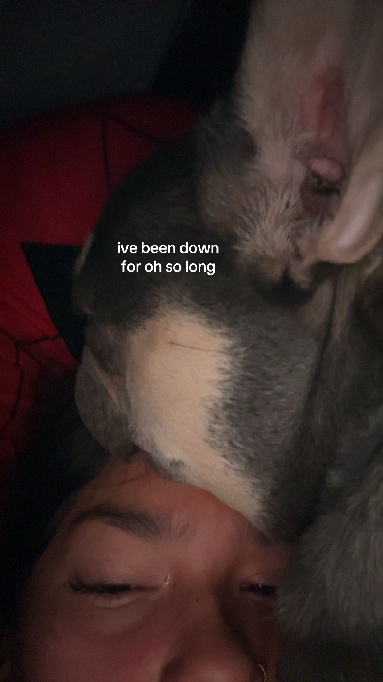 @ava
