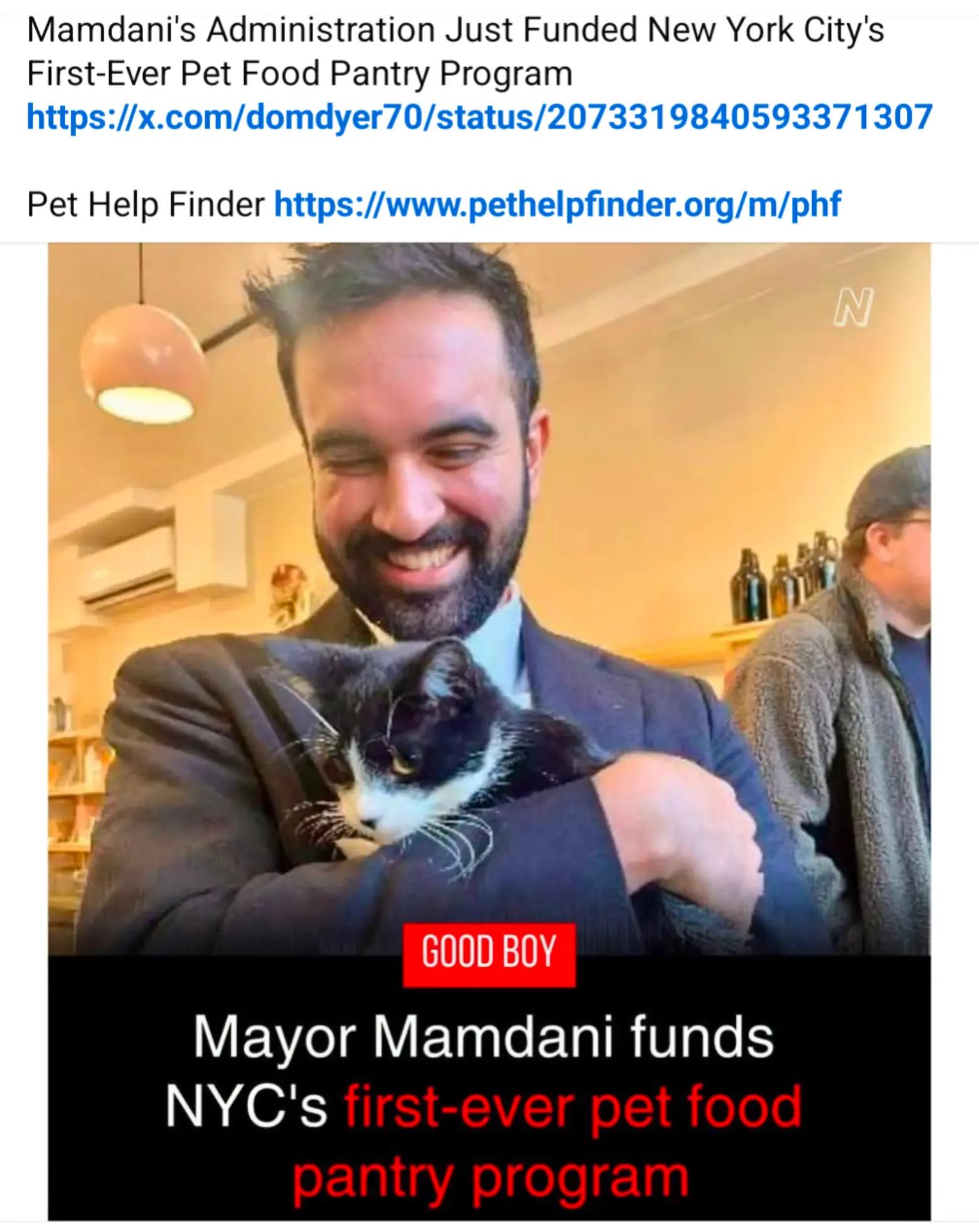 @MrFinn the cat